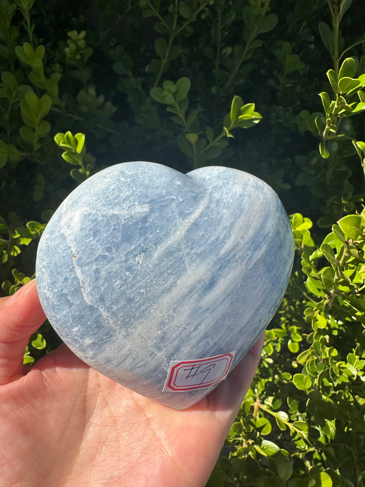 Blue Calcite Heart with Cloudy Blue Pattern | 484g 9.7cm Exact Piece #9