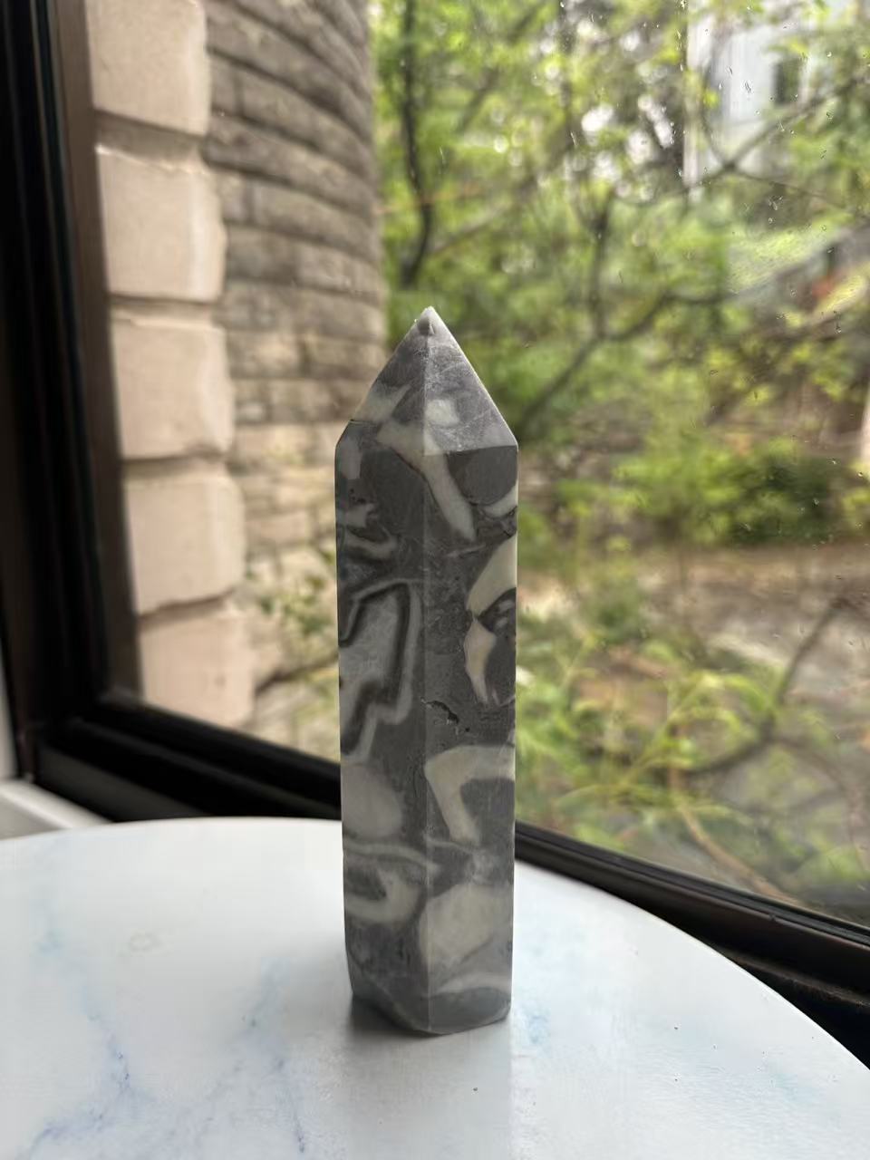 1000 Eyes Shell Jasper Tower with Dense Orbicular Pattern | 771g 17cm Exact Piece #1