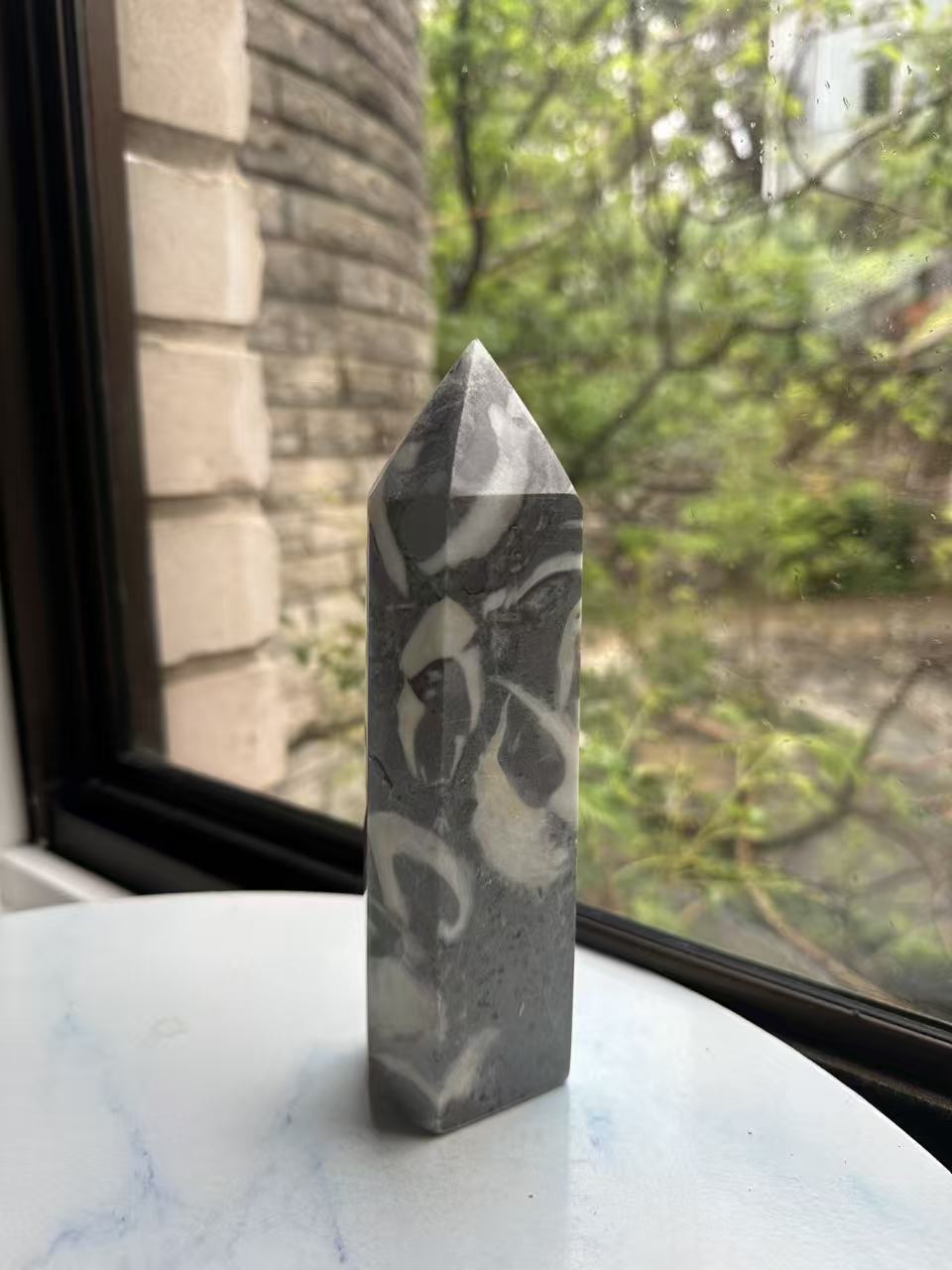 1000 Eyes Shell Jasper Tower with Dense Orbicular Pattern | 771g 17cm Exact Piece #1