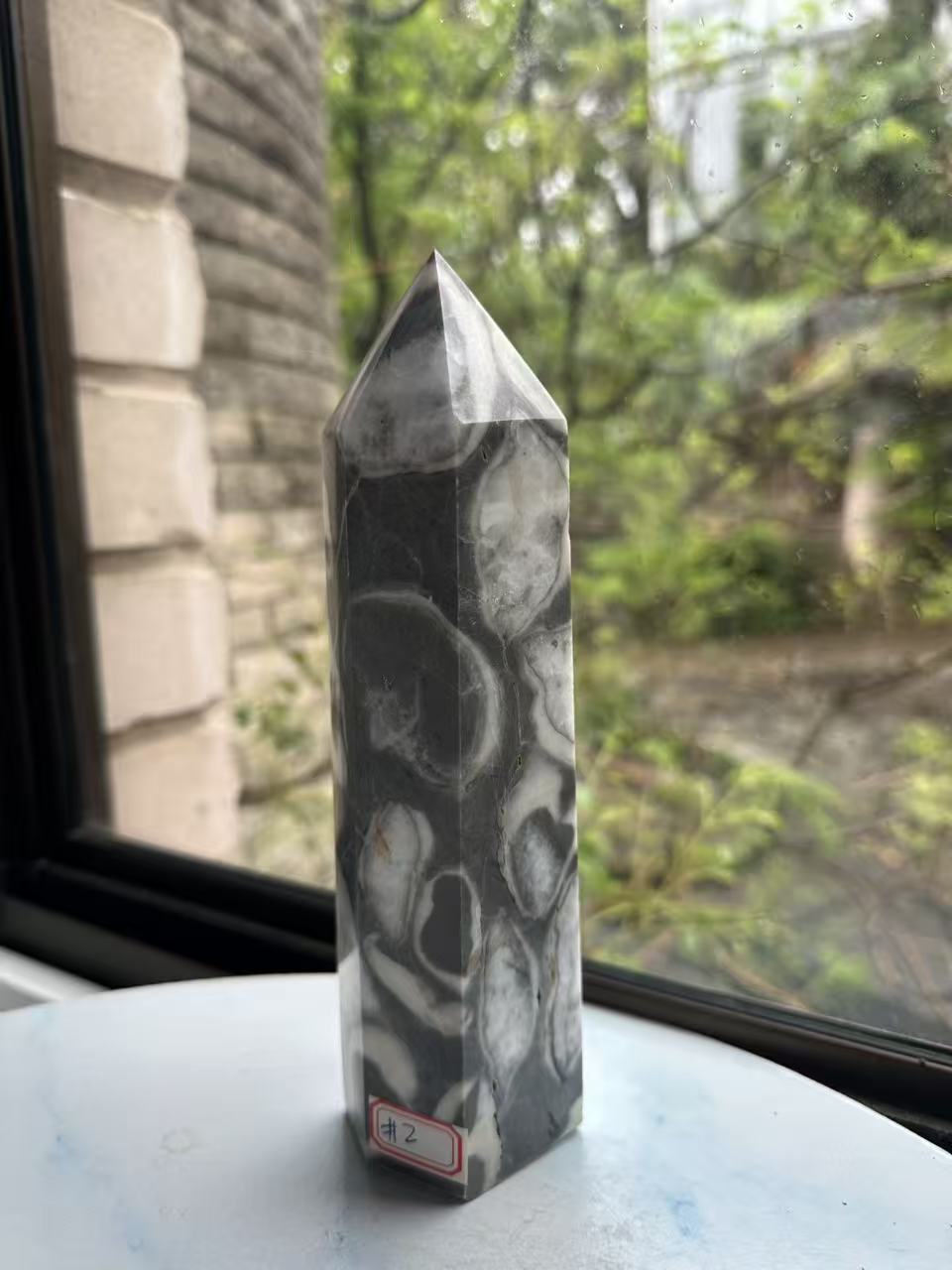 1000 Eyes Shell Jasper Tower with High-Contrast Eyes | 923g 20cm Exact Piece #2