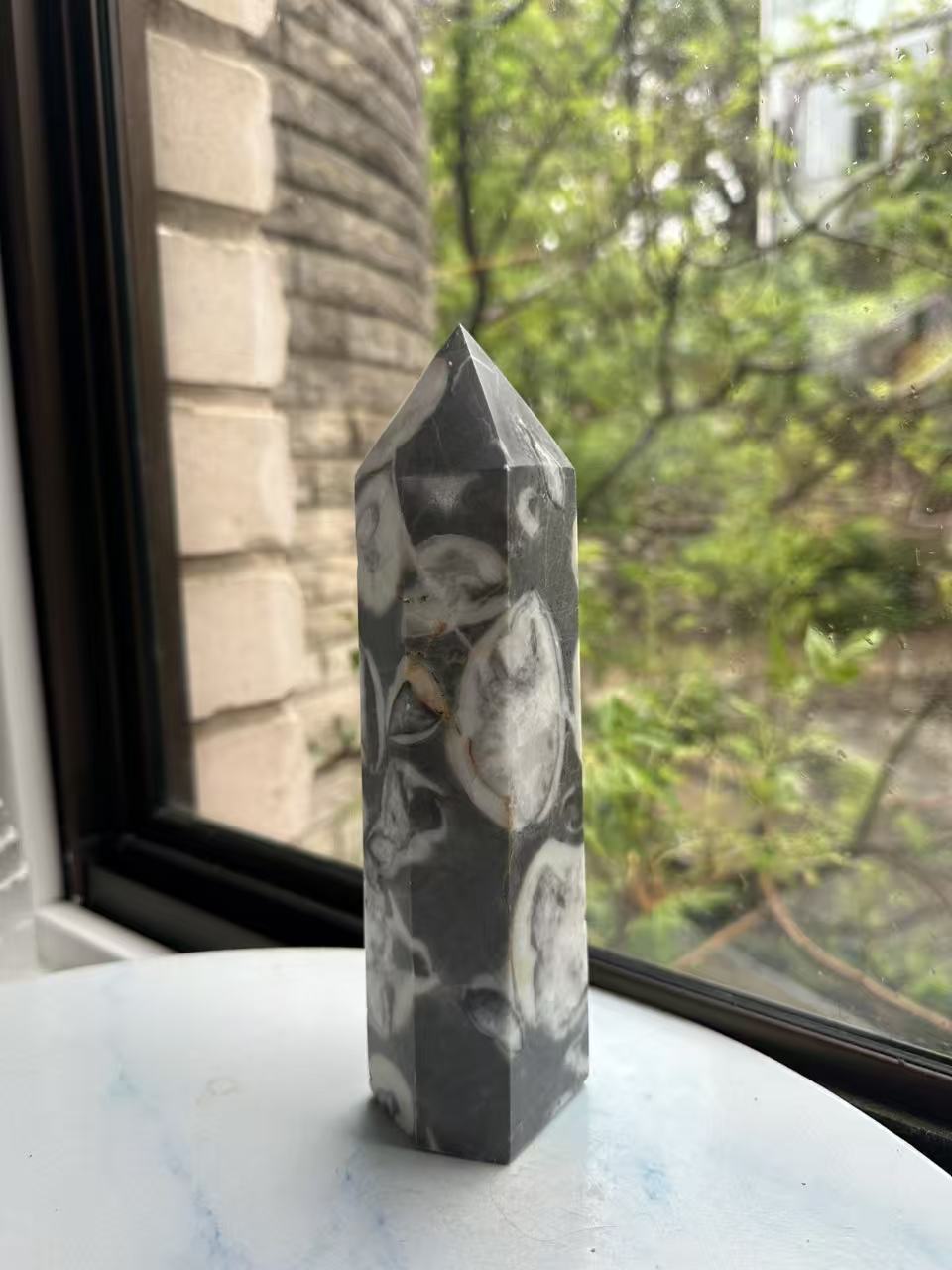 1000 Eyes Shell Jasper Tower with High-Contrast Eyes | 923g 20cm Exact Piece #2