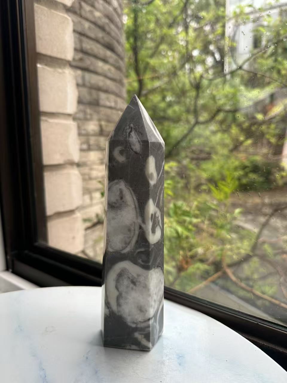 1000 Eyes Shell Jasper Tower with High-Contrast Eyes | 923g 20cm Exact Piece #2
