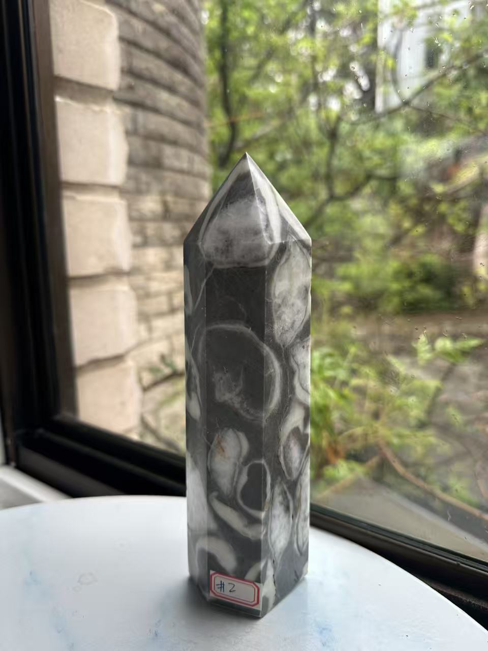 1000 Eyes Shell Jasper Tower with High-Contrast Eyes | 923g 20cm Exact Piece #2