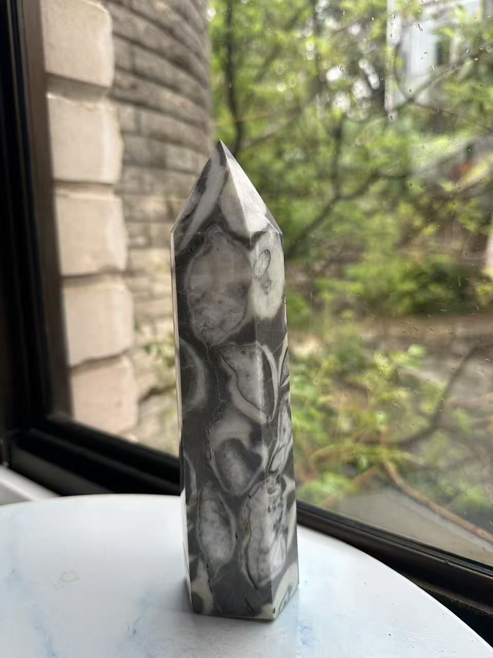 1000 Eyes Shell Jasper Tower with High-Contrast Eyes | 923g 20cm Exact Piece #2