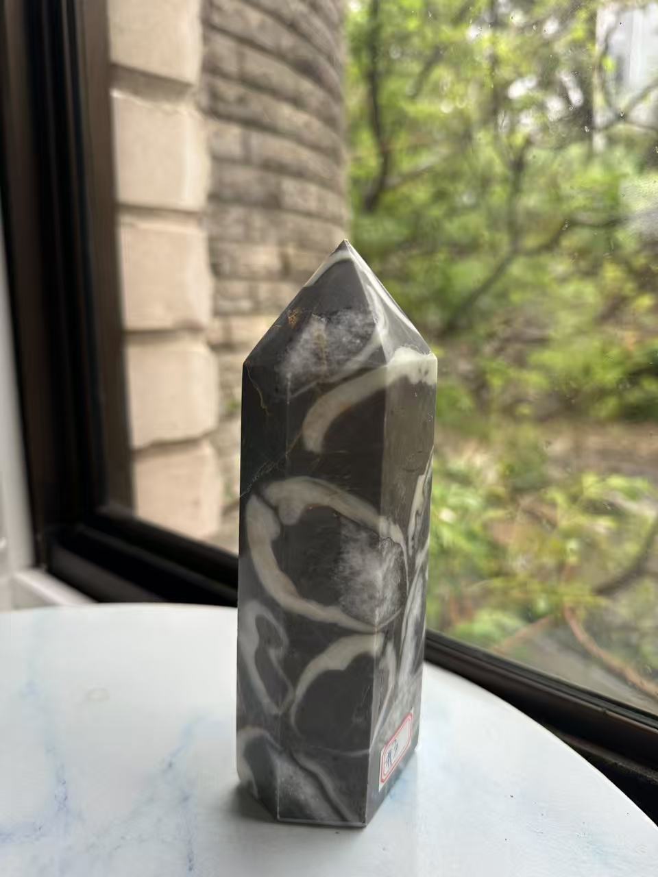 1000 Eyes Shell Jasper Tower with Orbicular Pattern | 772g 16.2cm Exact Piece #3