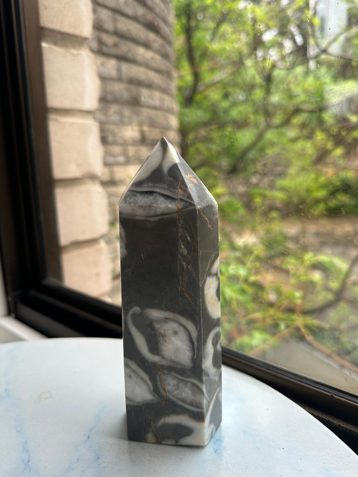 1000 Eyes Shell Jasper Tower with Orbicular Pattern | 772g 16.2cm Exact Piece #3
