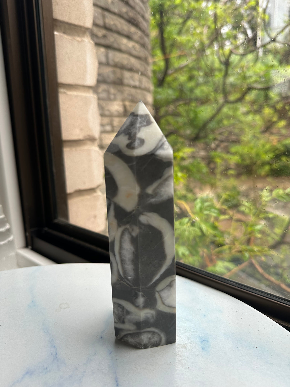 1000 Eyes Shell Jasper Tower with Orbicular Pattern | 772g 16.2cm Exact Piece #3