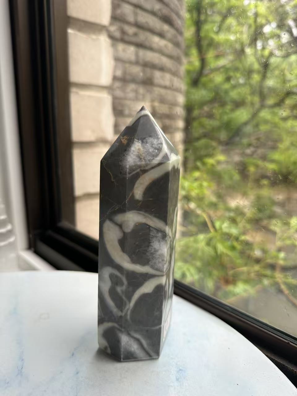 1000 Eyes Shell Jasper Tower with Orbicular Pattern | 772g 16.2cm Exact Piece #3