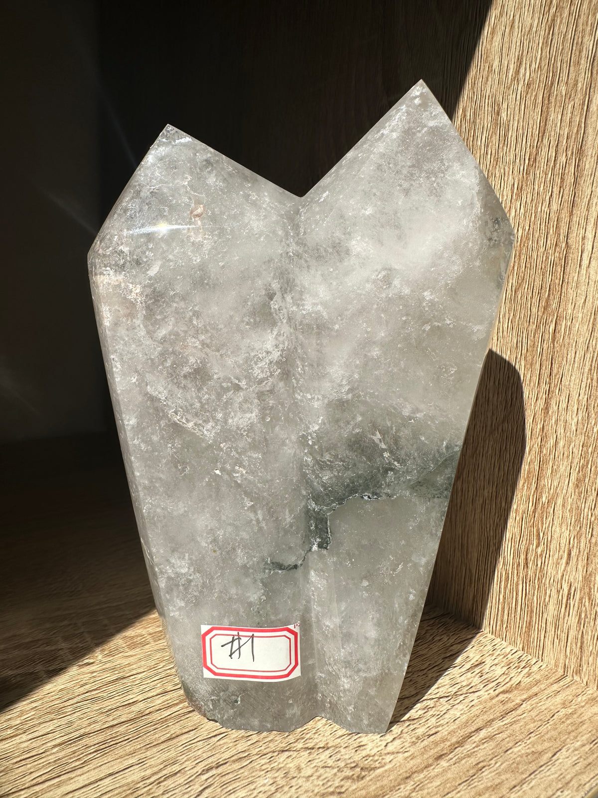 Garden Quartz (Lodolite) Twin Tower – 846g #1 — exact crystal, view 1 of 6