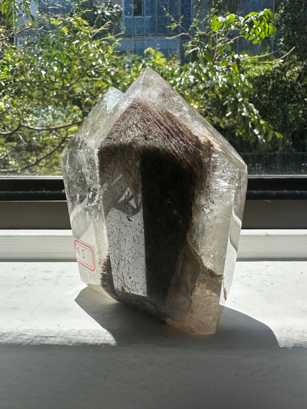 Garden Quartz (Lodolite) Twin Tower – 922g #5 — exact crystal, view 8 of 9