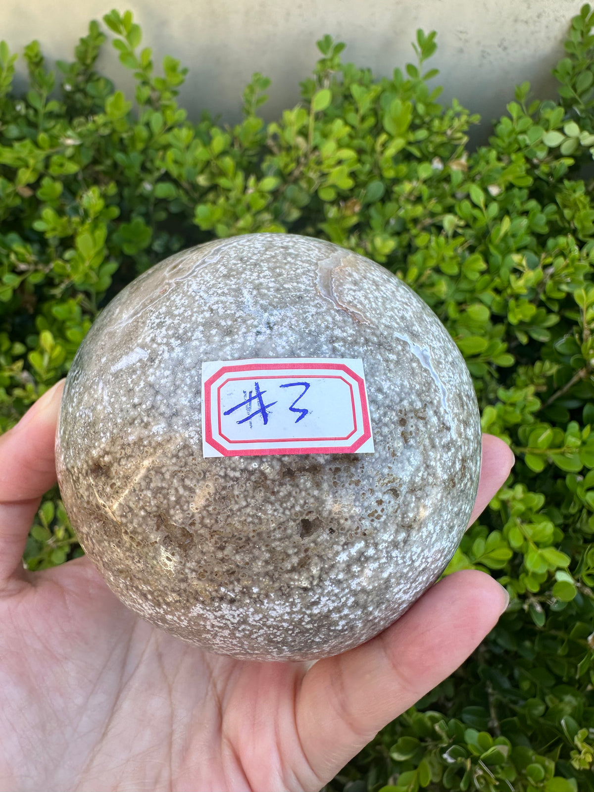 #3,"Large Moss Agate crystal sphere for professional desk decor, 772g, showing deep forest-like moss patterns and sparkling natural druzy by Moon Rituals."