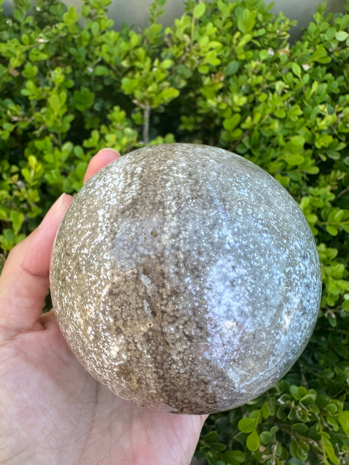 #3,"Large Moss Agate crystal sphere for professional desk decor, 772g, showing deep forest-like moss patterns and sparkling natural druzy by Moon Rituals."