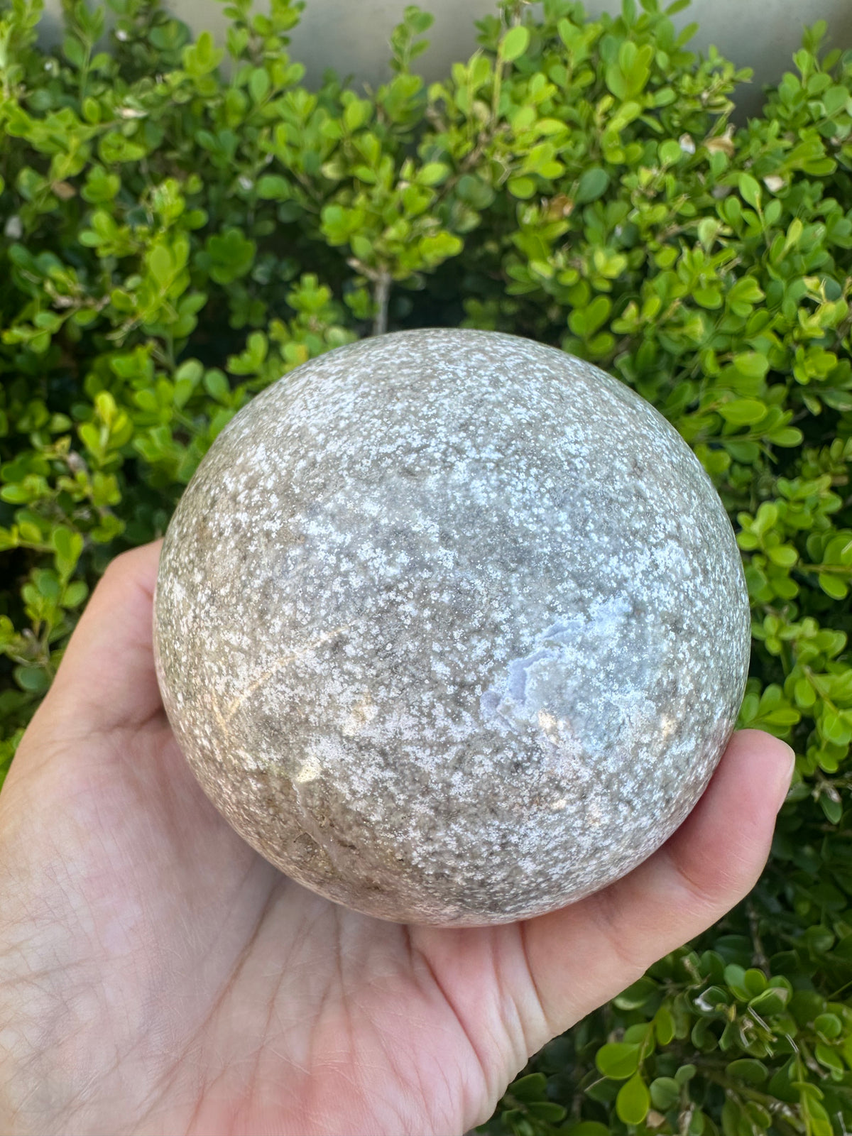 #3,"Large Moss Agate crystal sphere for professional desk decor, 772g, showing deep forest-like moss patterns and sparkling natural druzy by Moon Rituals."