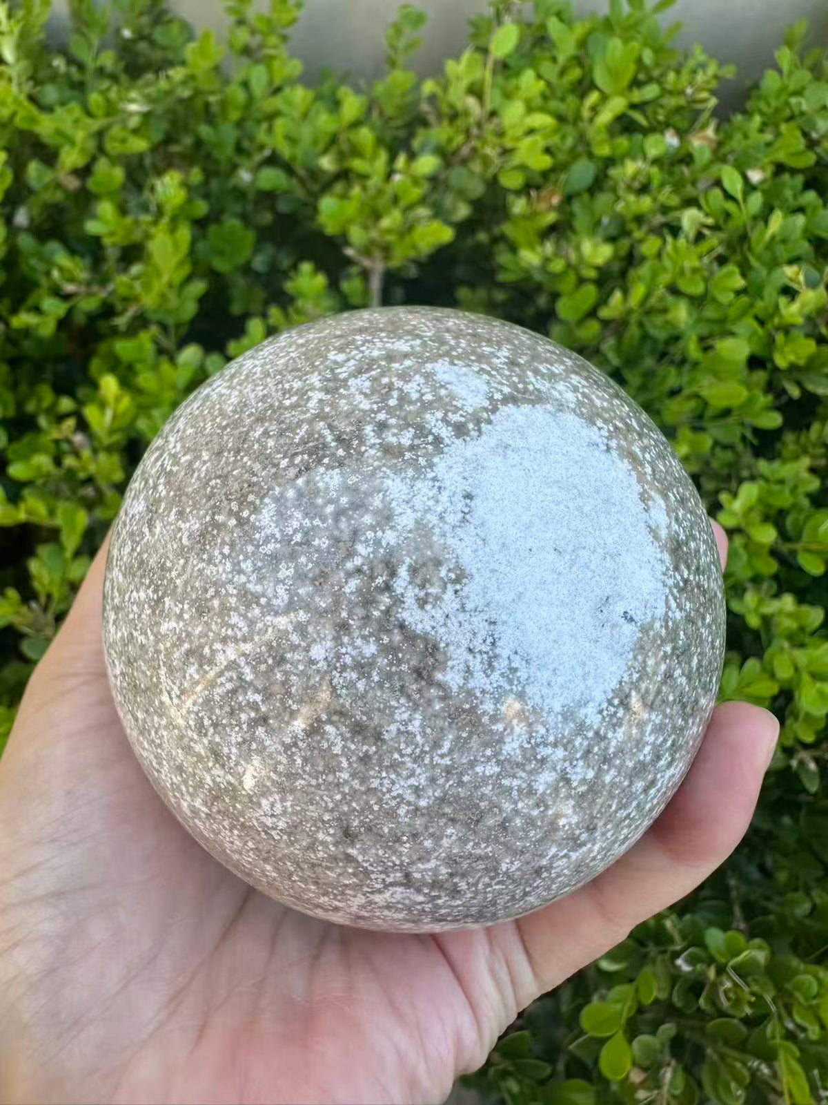 #3,"Large Moss Agate crystal sphere for professional desk decor, 772g, showing deep forest-like moss patterns and sparkling natural druzy by Moon Rituals."