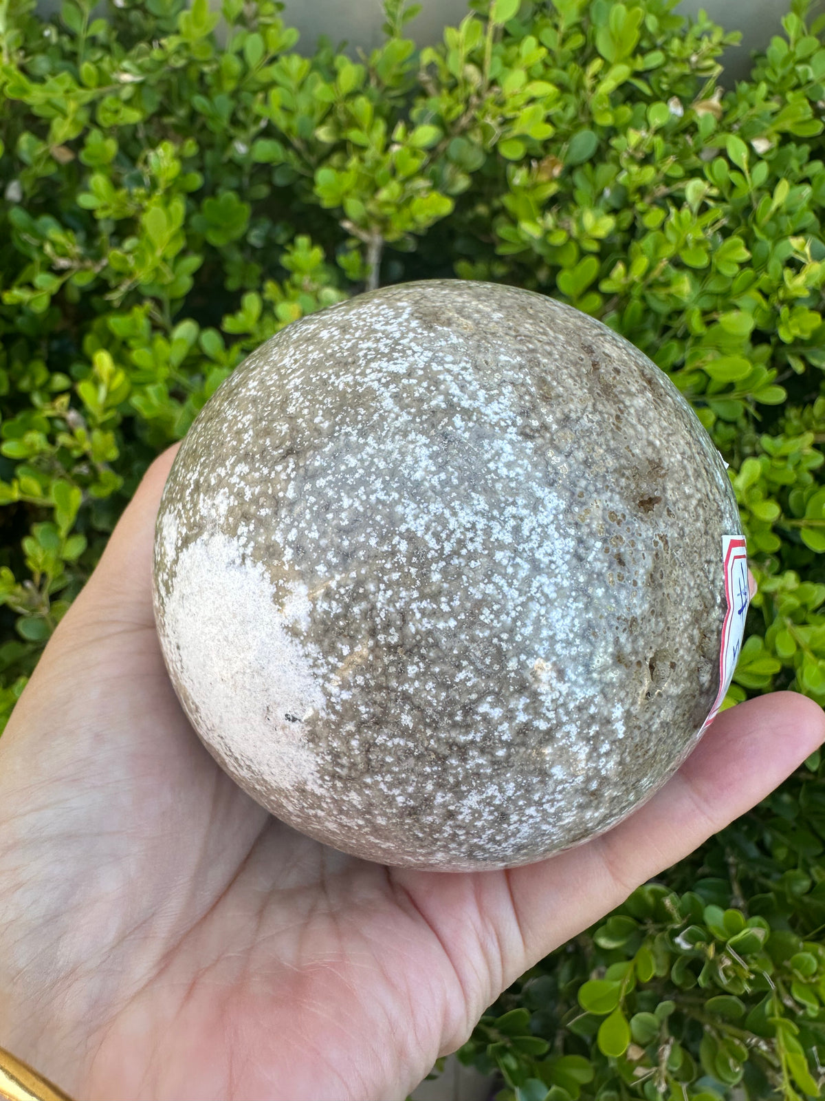 #3,"Large Moss Agate crystal sphere for professional desk decor, 772g, showing deep forest-like moss patterns and sparkling natural druzy by Moon Rituals."