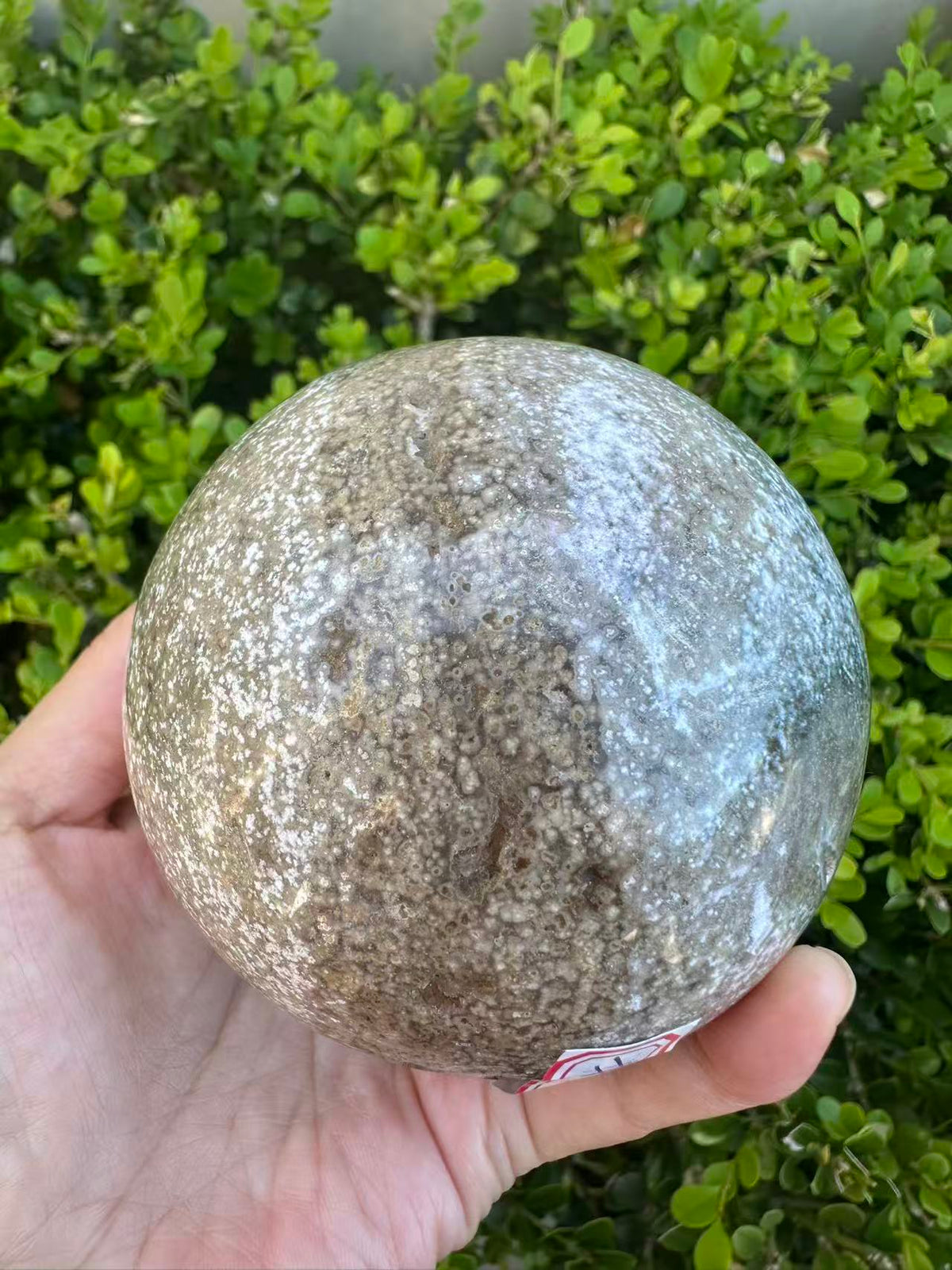 #3,"Large Moss Agate crystal sphere for professional desk decor, 772g, showing deep forest-like moss patterns and sparkling natural druzy by Moon Rituals."
