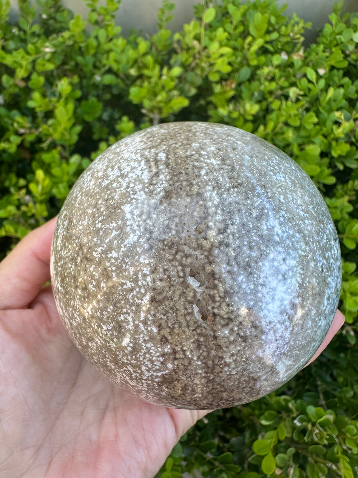 #3,"Large Moss Agate crystal sphere for professional desk decor, 772g, showing deep forest-like moss patterns and sparkling natural druzy by Moon Rituals."