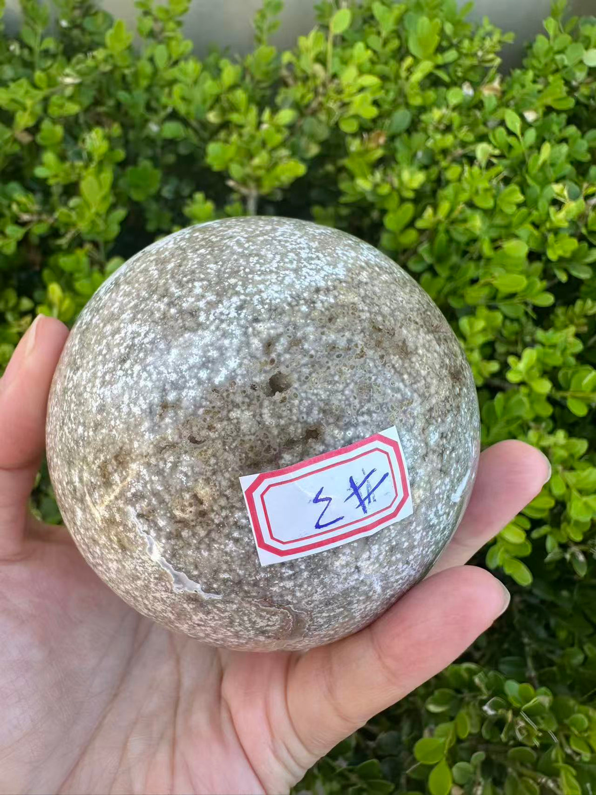 #3,"Large Moss Agate crystal sphere for professional desk decor, 772g, showing deep forest-like moss patterns and sparkling natural druzy by Moon Rituals."