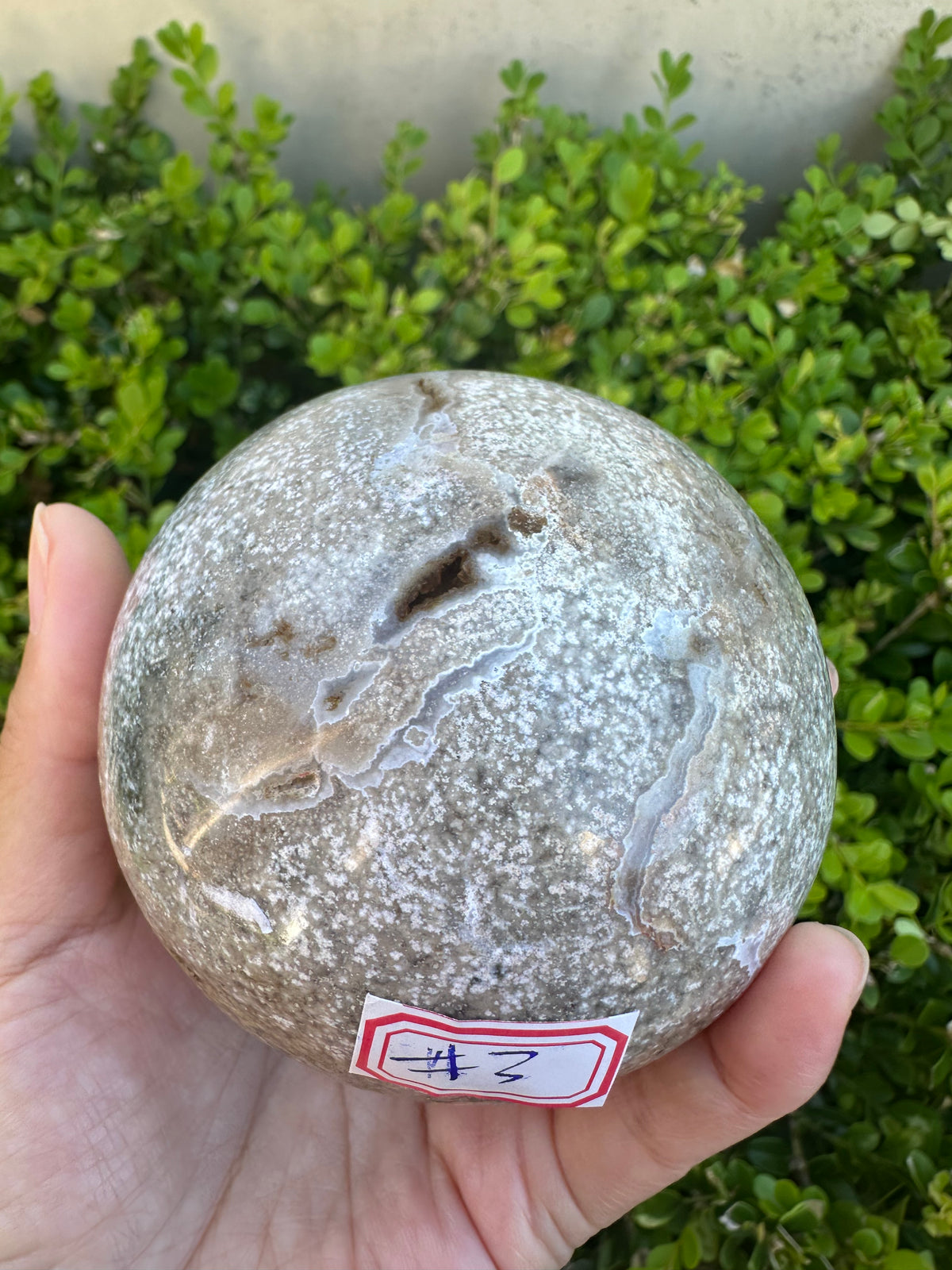 #3,"Large Moss Agate crystal sphere for professional desk decor, 772g, showing deep forest-like moss patterns and sparkling natural druzy by Moon Rituals."