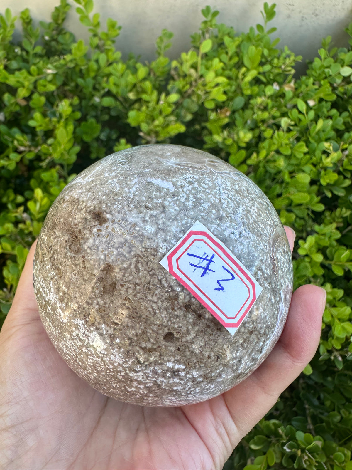 #3,"Large Moss Agate crystal sphere for professional desk decor, 772g, showing deep forest-like moss patterns and sparkling natural druzy by Moon Rituals."