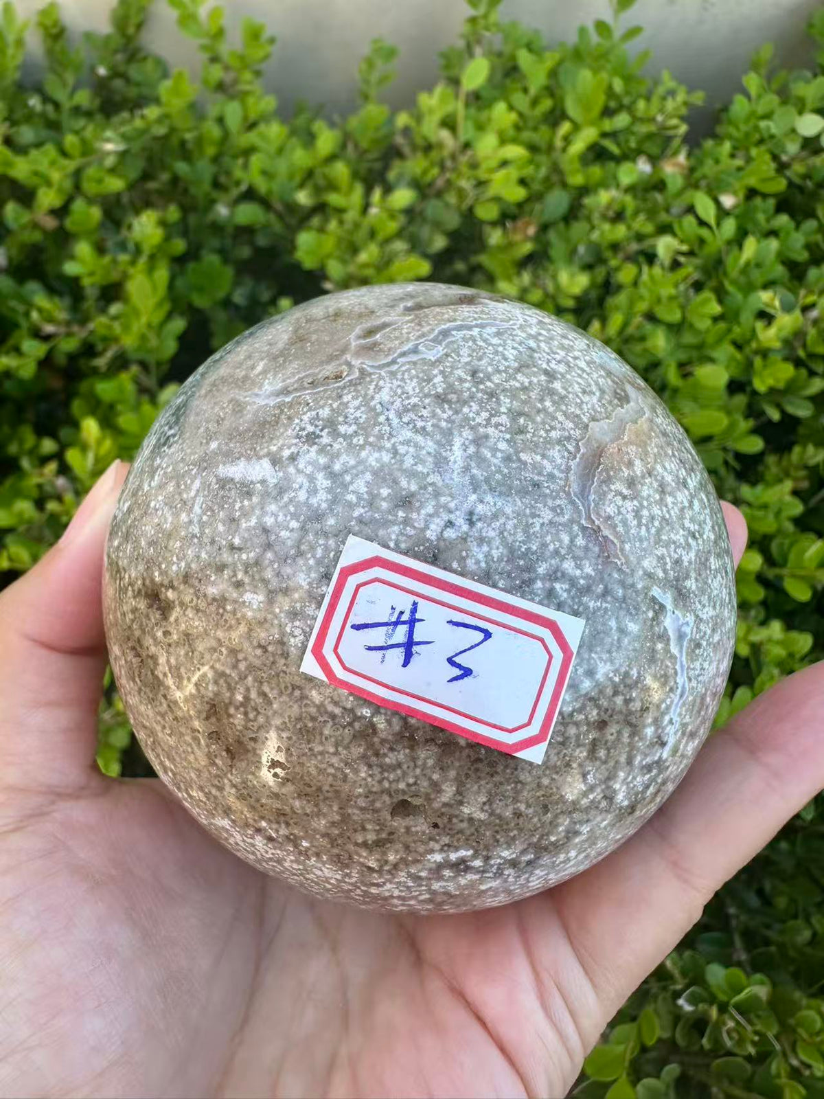#3,"Large Moss Agate crystal sphere for professional desk decor, 772g, showing deep forest-like moss patterns and sparkling natural druzy by Moon Rituals."