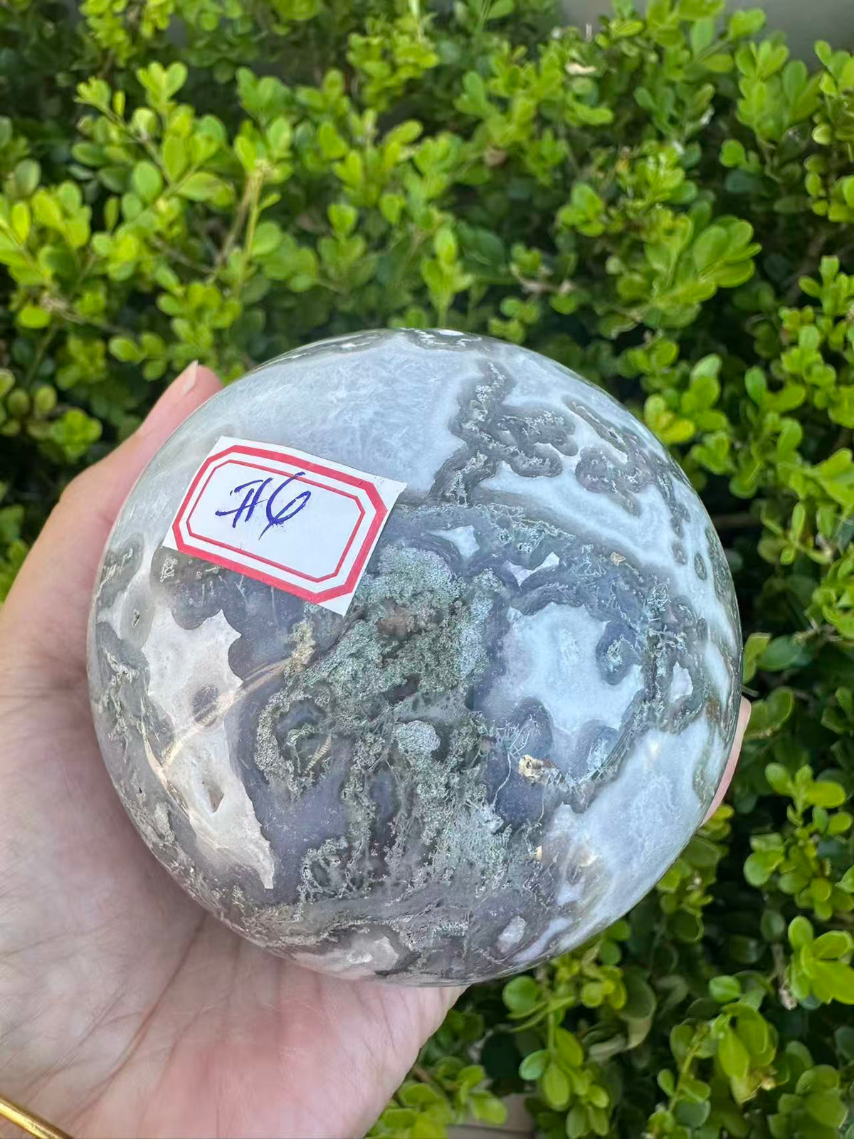 #4,815g Moss Agate druzy crystal ball featuring 8.5cm diameter with intricate green moss inclusions for corporate growth and workplace prosperity