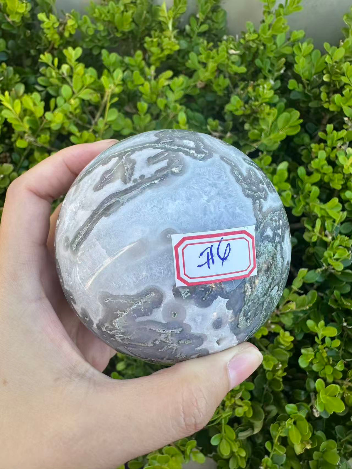 #4,815g Moss Agate druzy crystal ball featuring 8.5cm diameter with intricate green moss inclusions for corporate growth and workplace prosperity