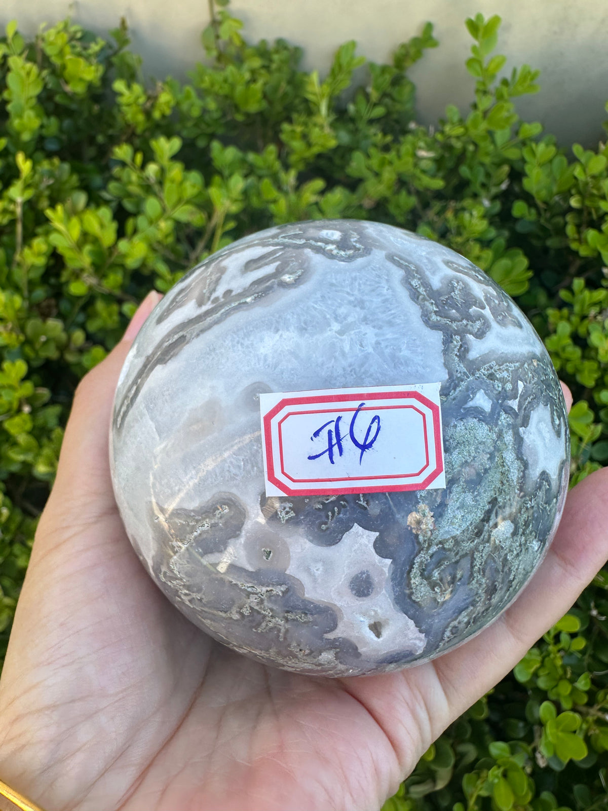 #4,815g Moss Agate druzy crystal ball featuring 8.5cm diameter with intricate green moss inclusions for corporate growth and workplace prosperity