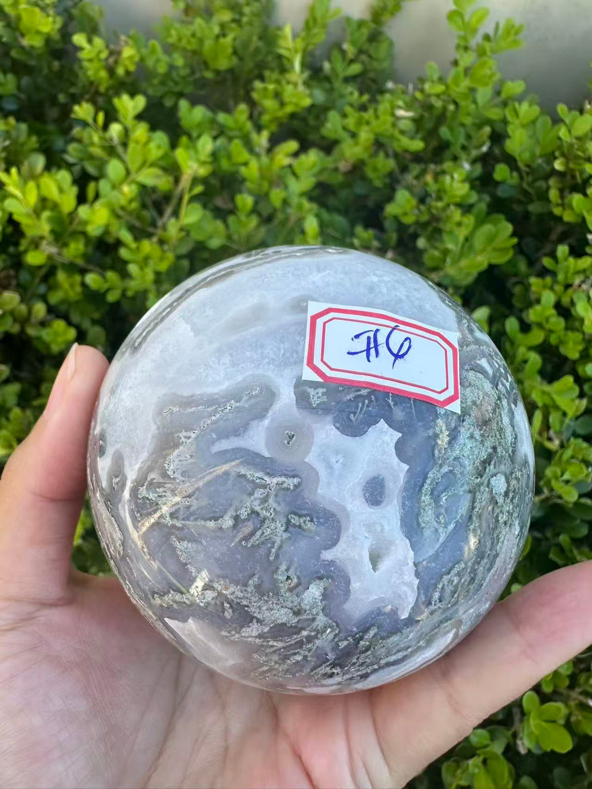 #4,815g Moss Agate druzy crystal ball featuring 8.5cm diameter with intricate green moss inclusions for corporate growth and workplace prosperity