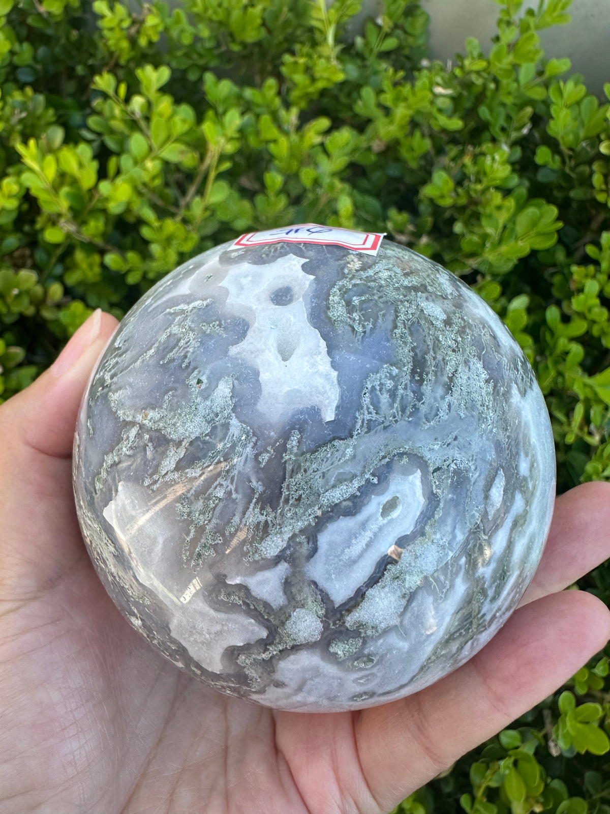#4,815g Moss Agate druzy crystal ball featuring 8.5cm diameter with intricate green moss inclusions for corporate growth and workplace prosperity