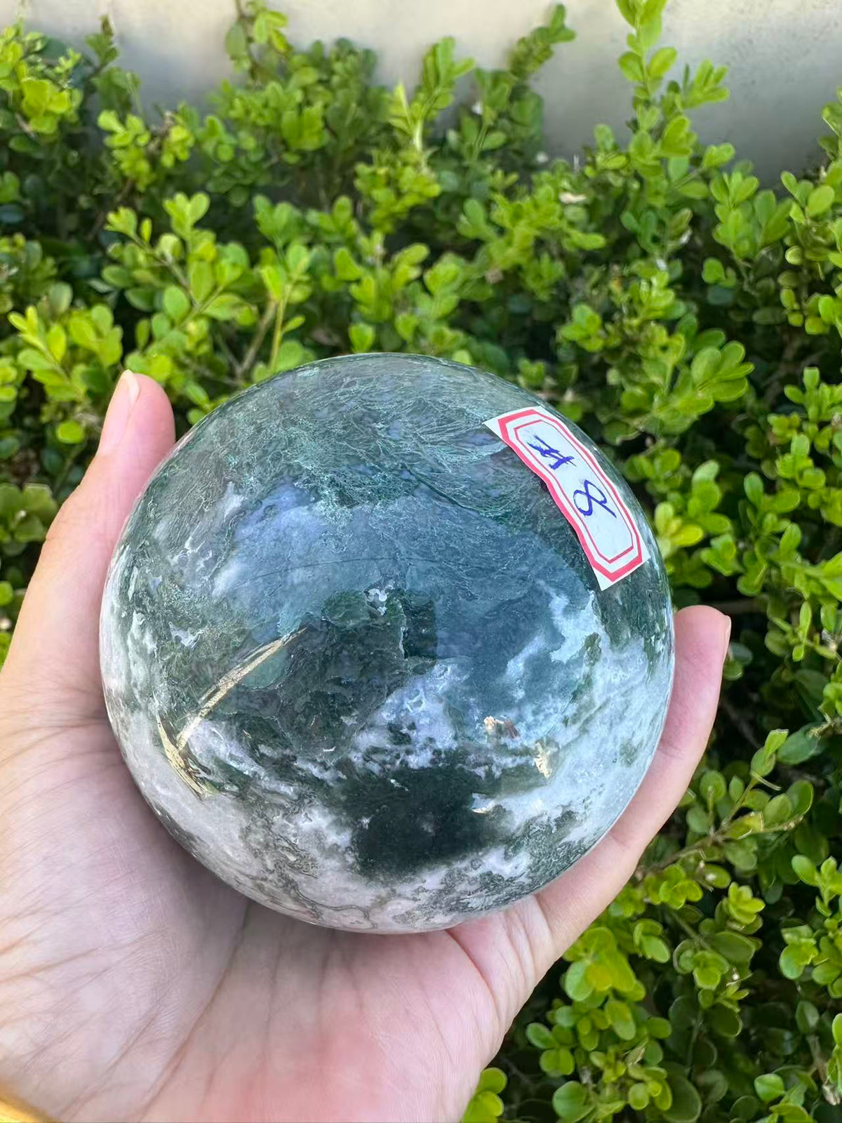Moss Agate Druzy Sphere with Sparkling Cavity | 712g 8.1cm Exact Piece #8