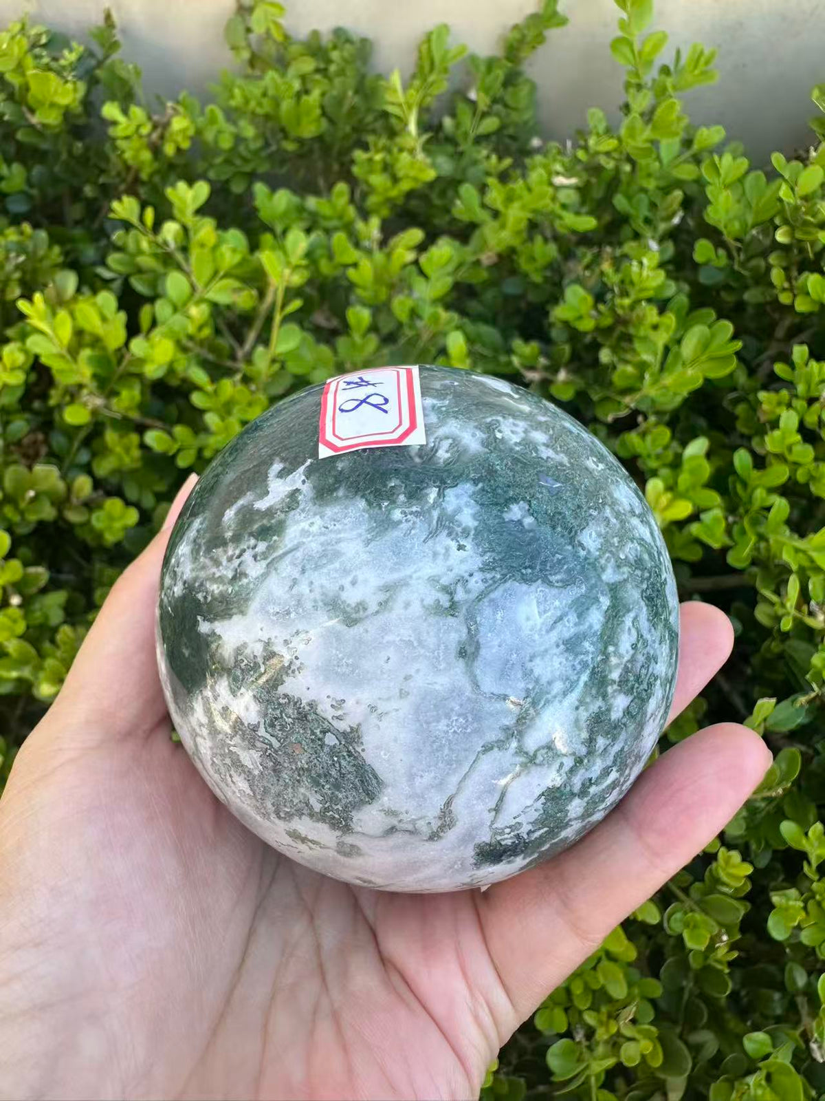 Moss Agate Druzy Sphere with Sparkling Cavity | 712g 8.1cm Exact Piece #8