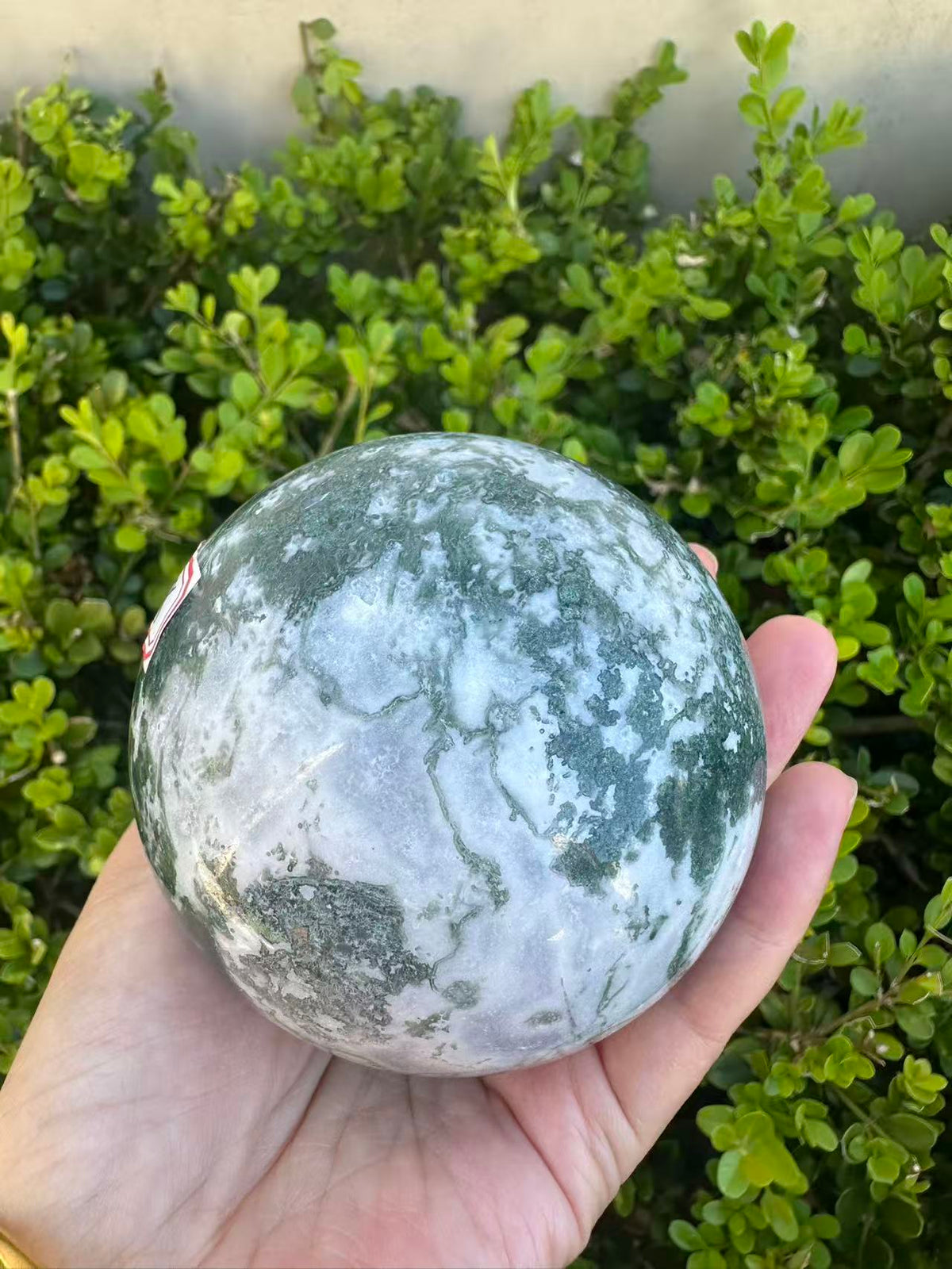 Moss Agate Druzy Sphere with Sparkling Cavity | 712g 8.1cm Exact Piece #8