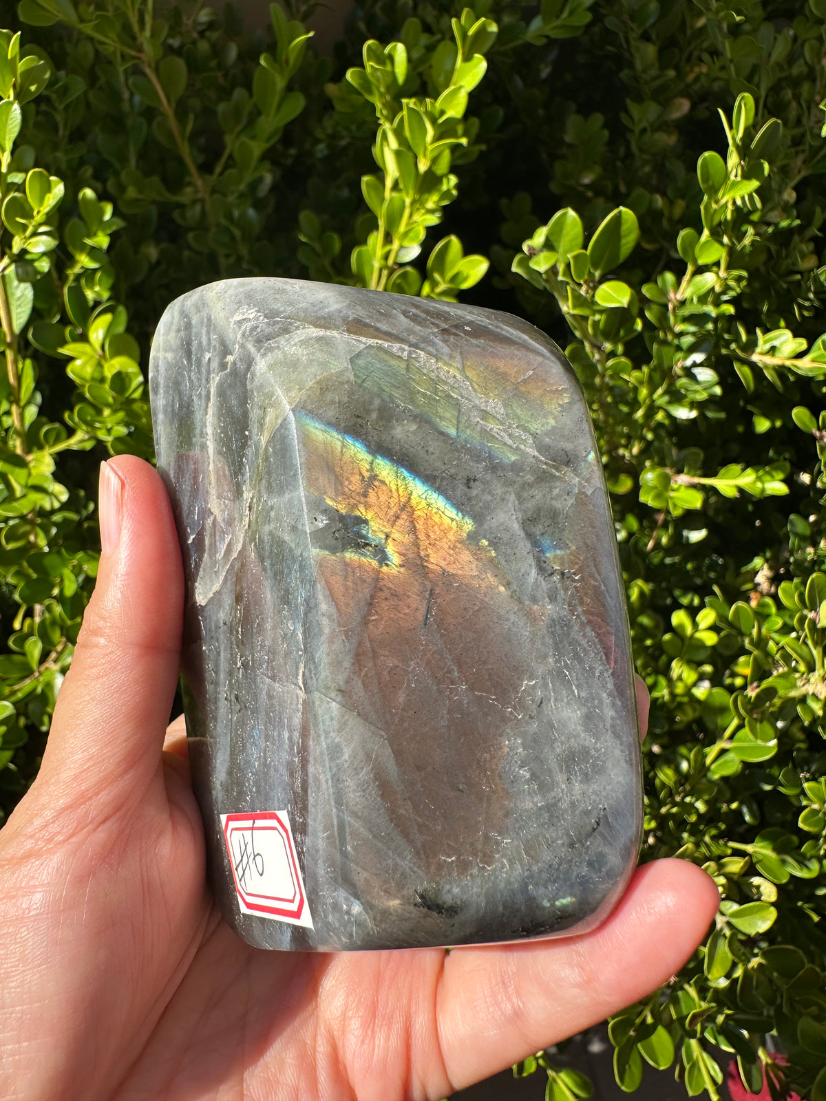 Moon Rituals exact piece rare purple labradorite freeform #6