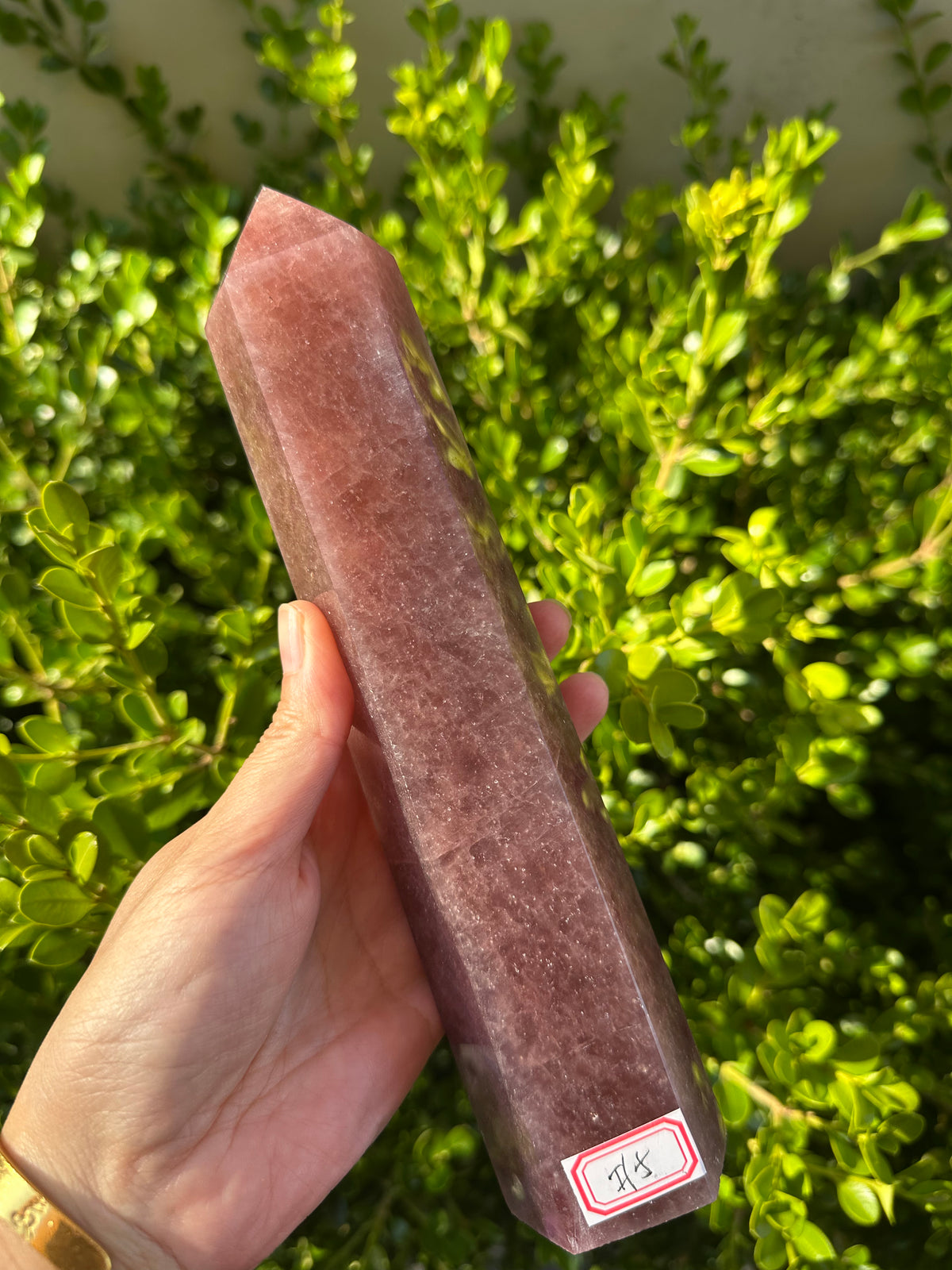 Strawberry Quartz Tower with Pink-Red Inclusions | 836g 22cm Exact Piece #5