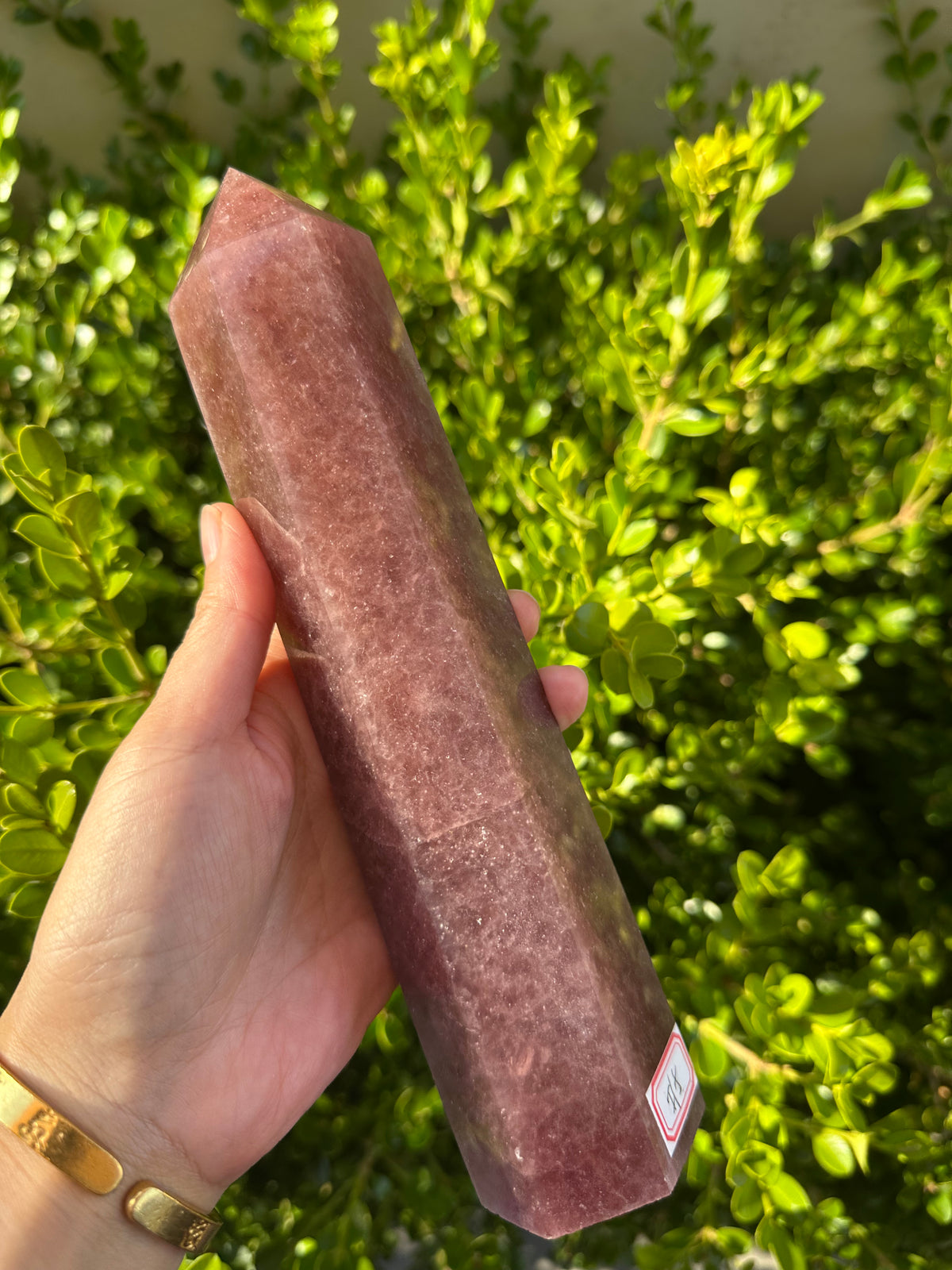 Strawberry Quartz Tower with Pink-Red Inclusions | 836g 22cm Exact Piece #5