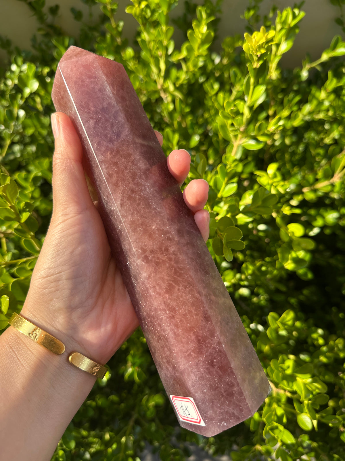 Strawberry Quartz Tower with Pink-Red Inclusions | 836g 22cm Exact Piece #5