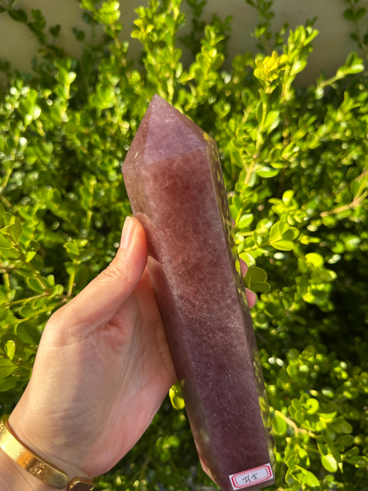 Strawberry Quartz Tower with Pink-Red Inclusions | 836g 22cm Exact Piece #5