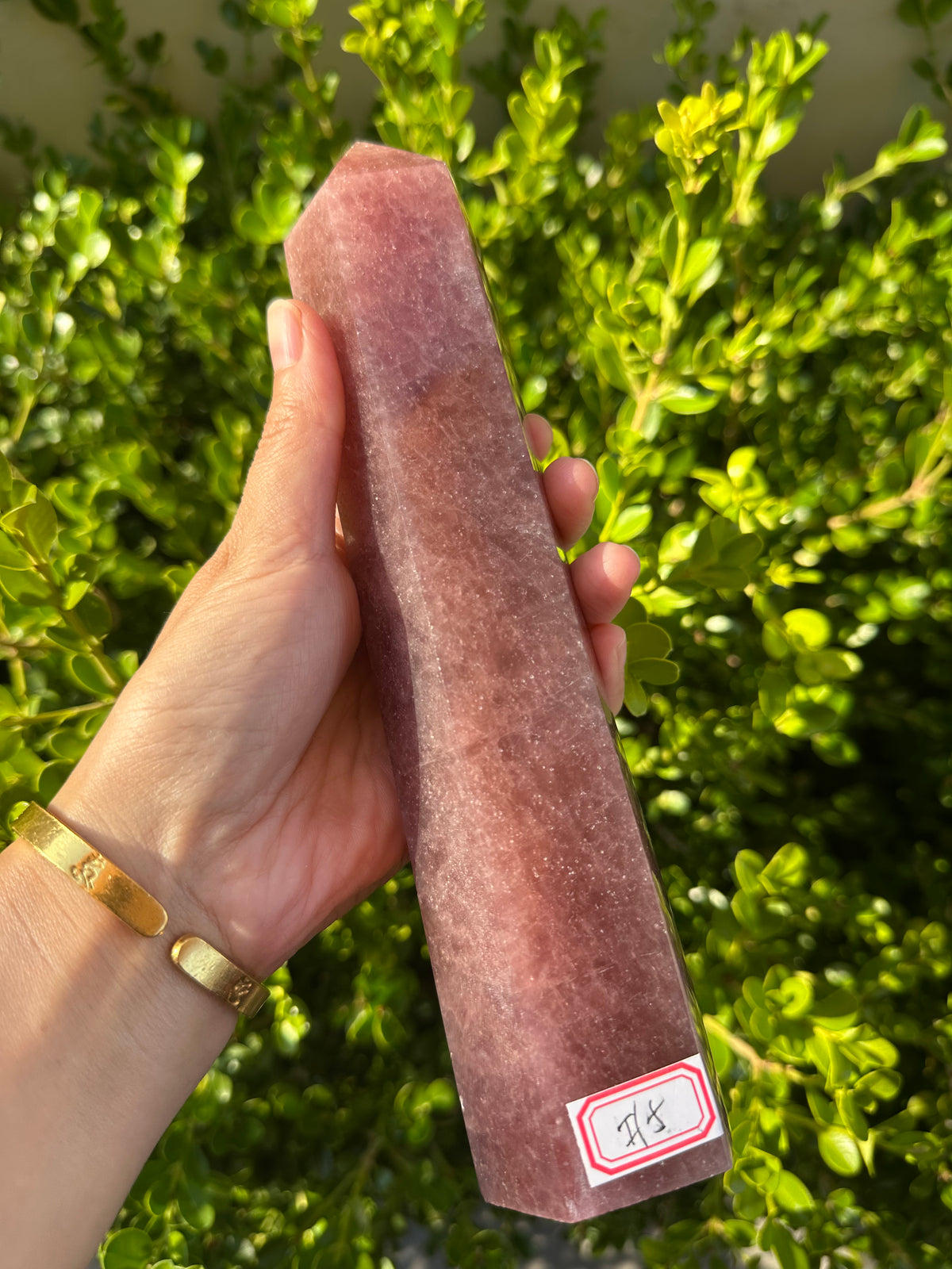 Strawberry Quartz Tower with Pink-Red Inclusions | 836g 22cm Exact Piece #5