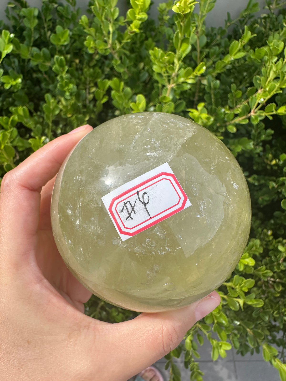 Brazilian Citrine Sphere with Golden Colour, Exact Piece #4 – base view