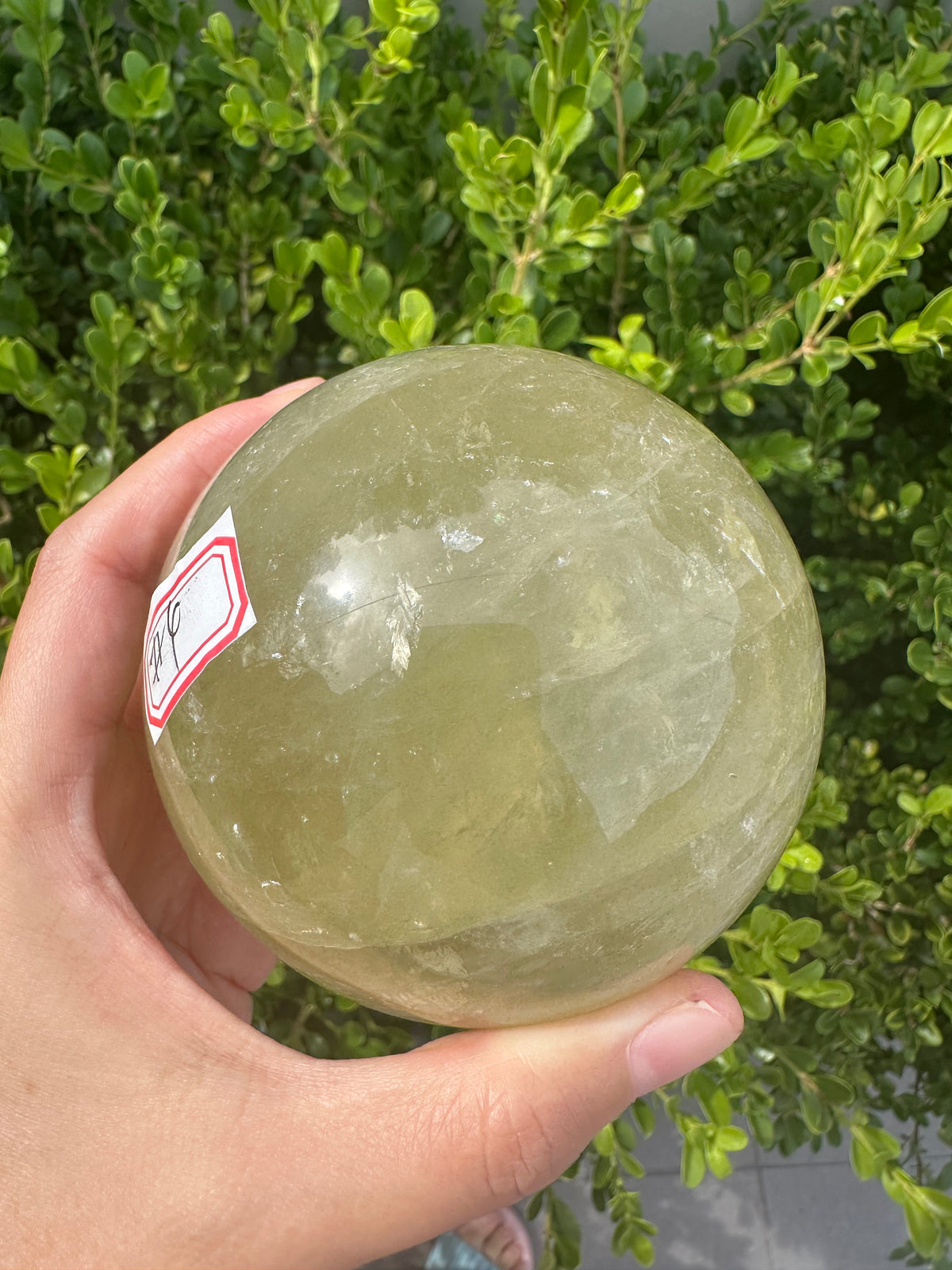 Brazilian Citrine Sphere with Golden Colour, Exact Piece #4 – top view