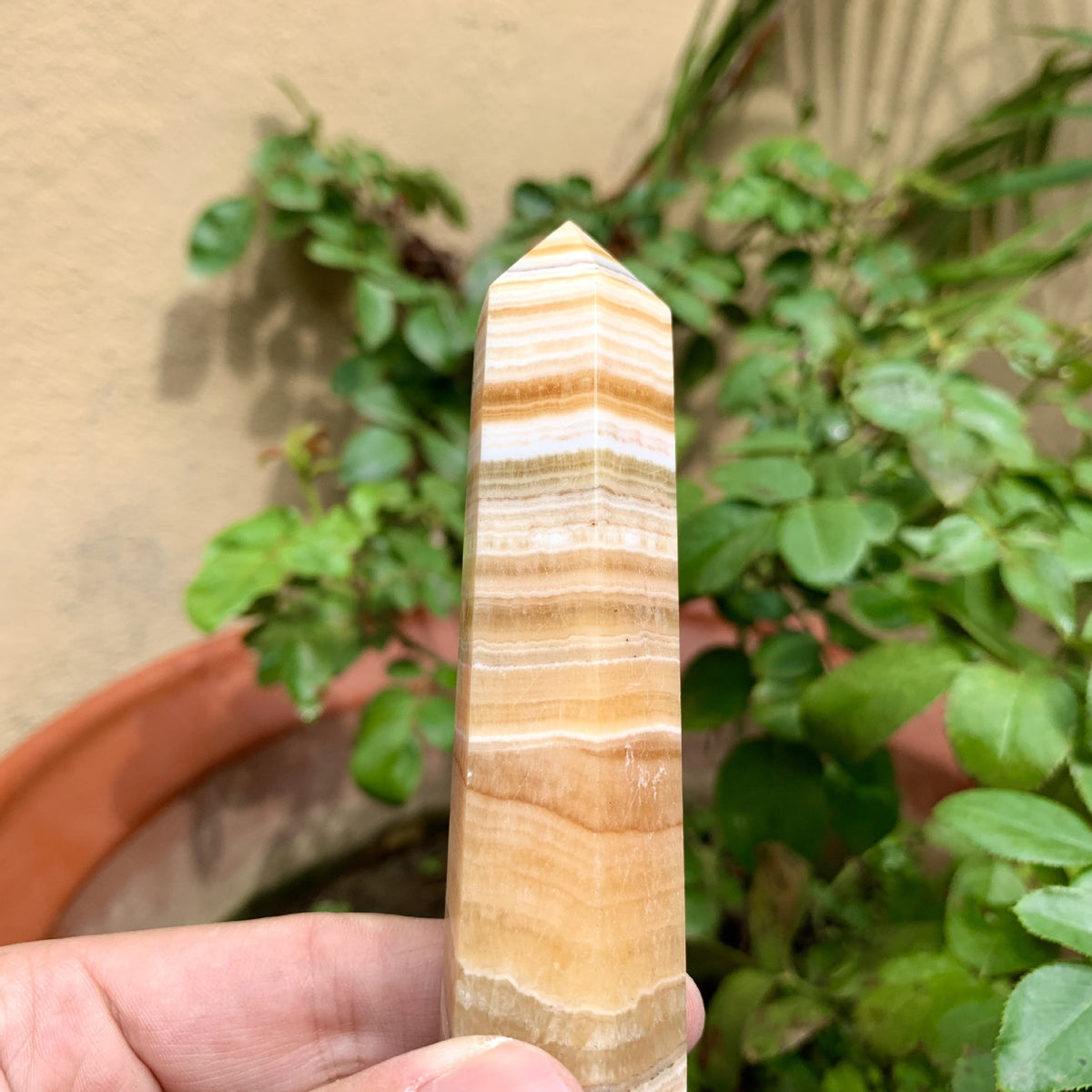 Yellow Calcite Tower | Natural Crystal Point