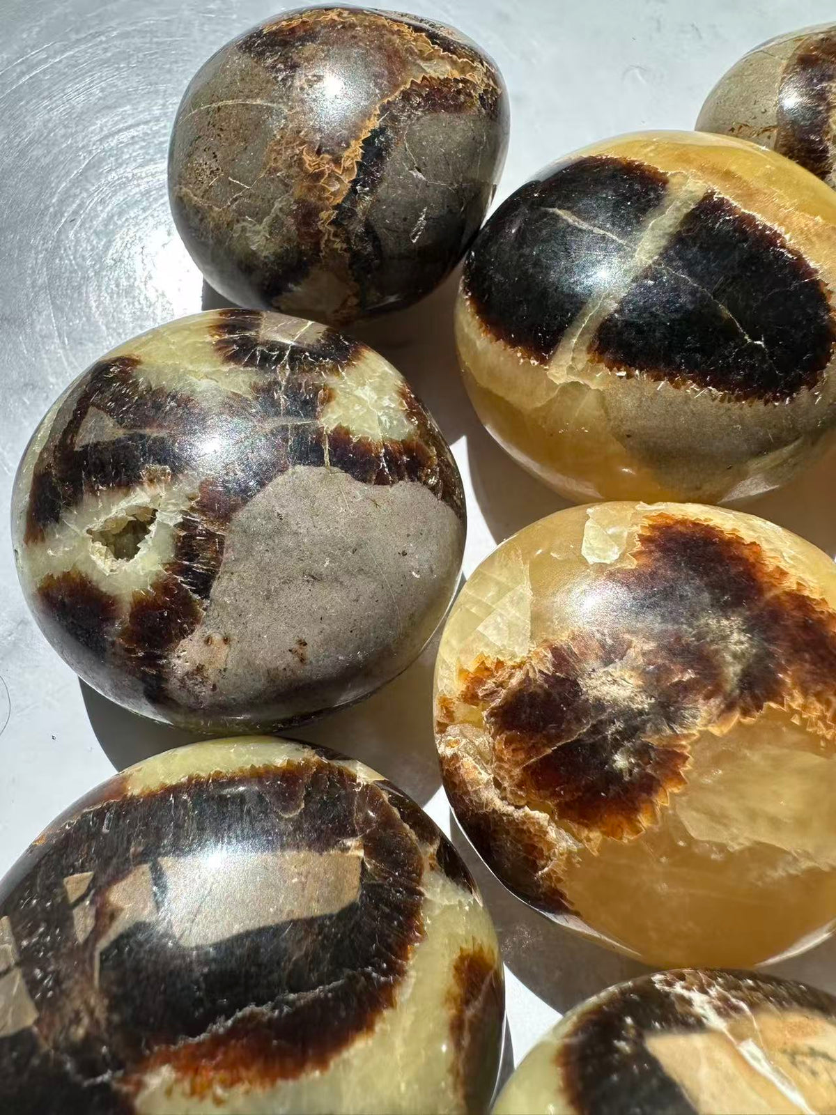 Septarian Palm Stone | Natural Dragon Stone 4–5cm