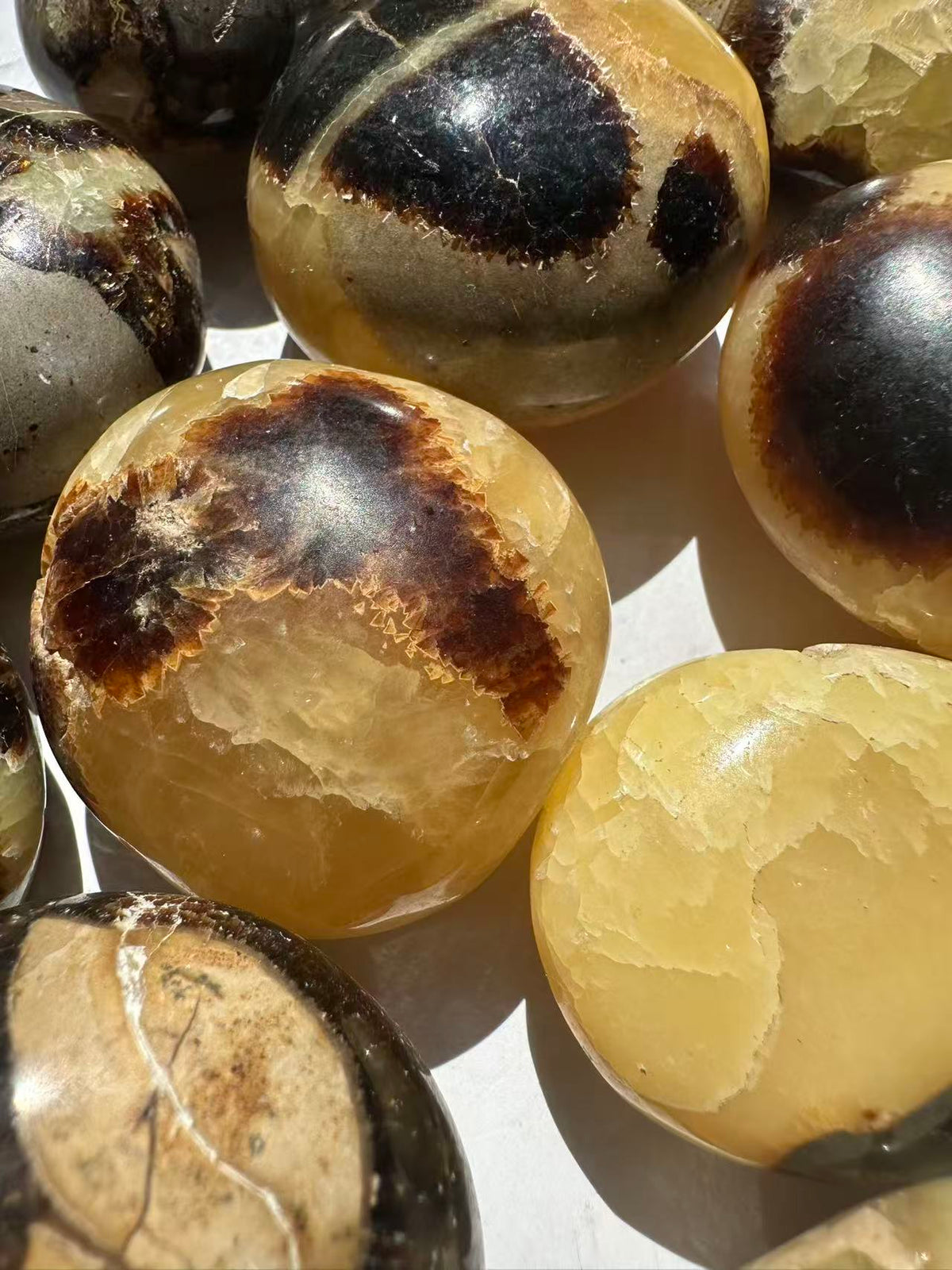Septarian Palm Stone | Natural Dragon Stone 4–5cm