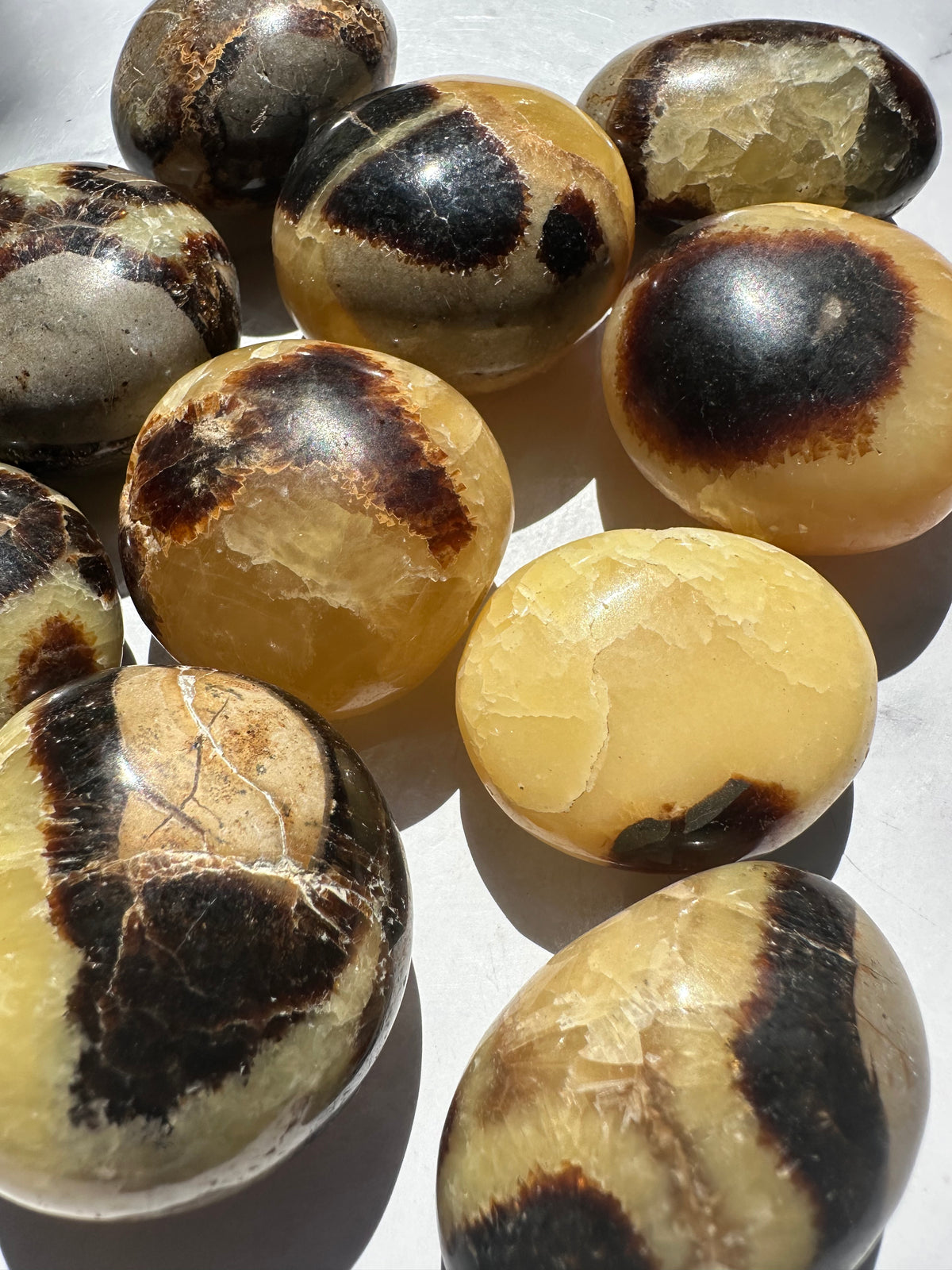 Septarian Palm Stone | Natural Dragon Stone 4–5cm
