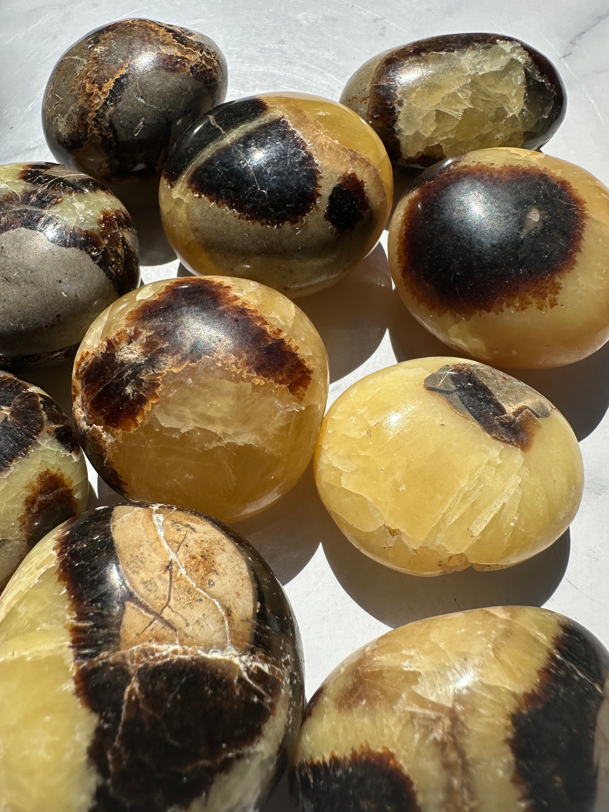 Septarian Palm Stone | Natural Dragon Stone 4–5cm