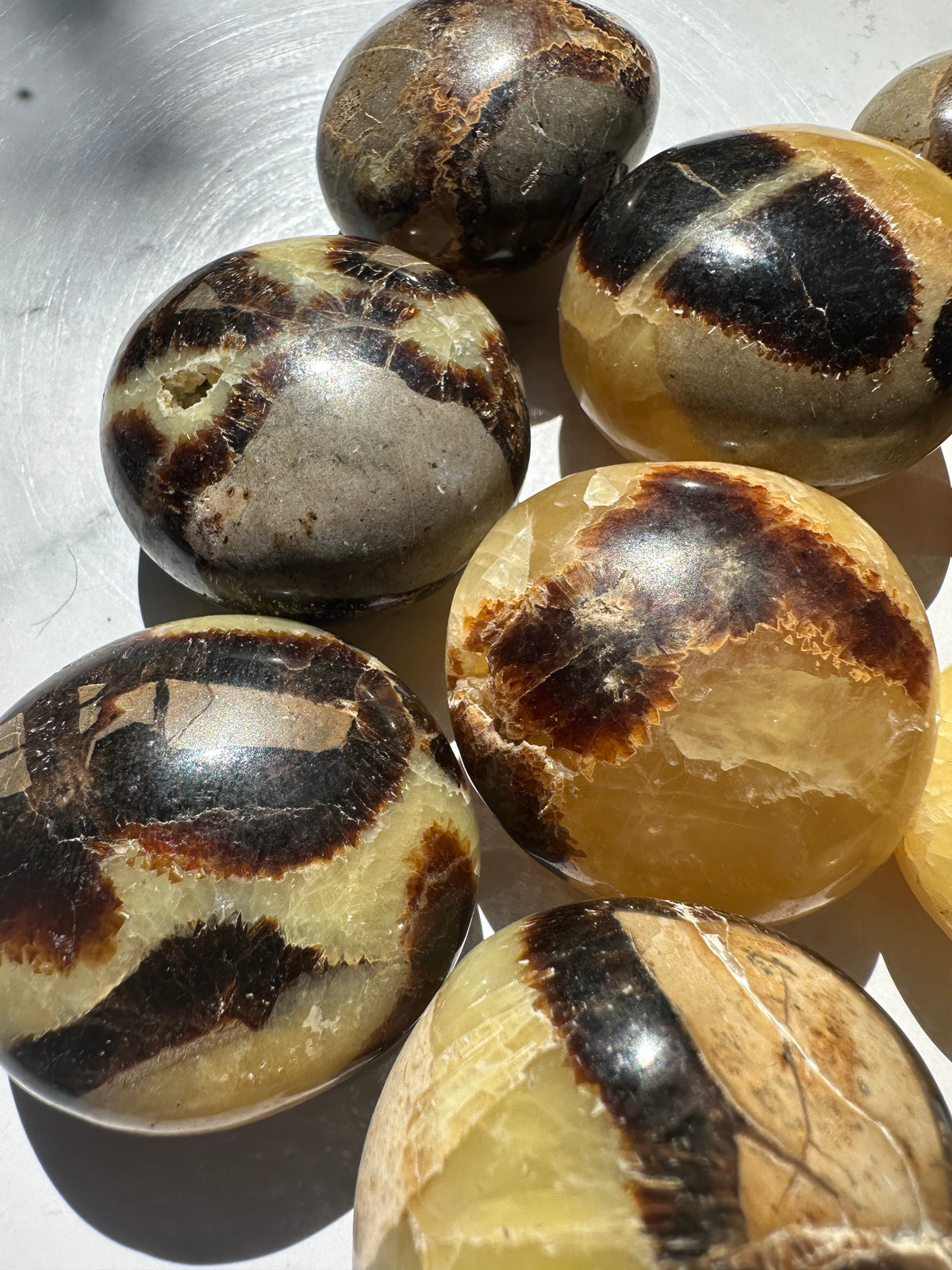 Septarian Palm Stone | Natural Dragon Stone 4–5cm