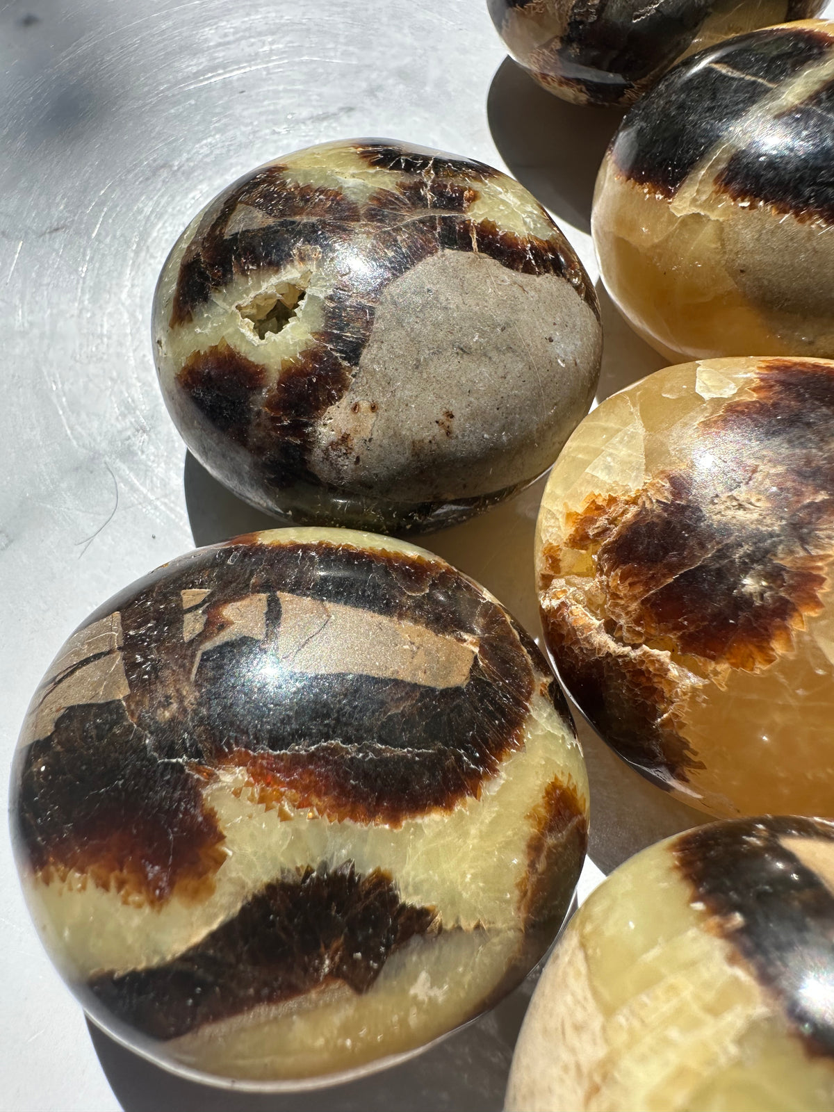 Septarian Palm Stone | Natural Dragon Stone 4–5cm