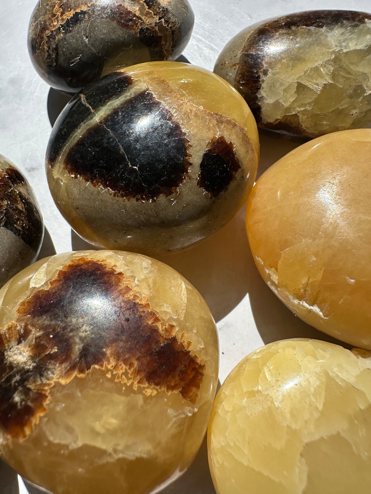 Septarian Palm Stone | Natural Dragon Stone 4–5cm
