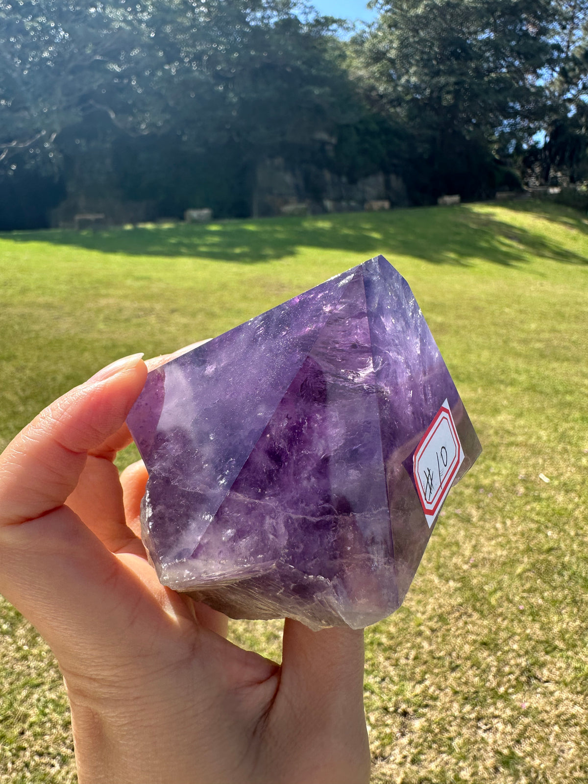 Uruguay Amethyst Raw Point with Deep Purple Growth, 484g 9.4cm Exact Piece #10 – alternate view 6